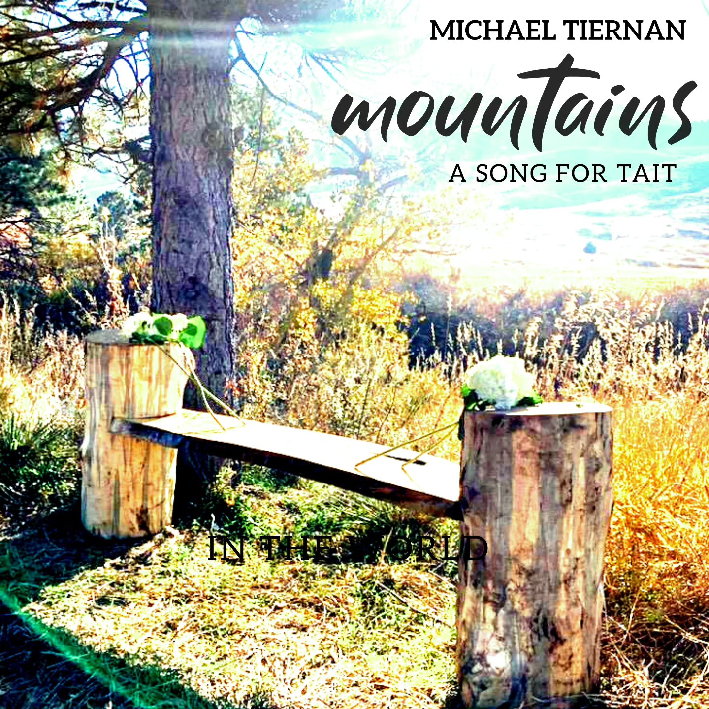 Hi friends - Another SURPRISE single for you! I just released this yesterday, on the birthday of the young man for whom it was written. It's the next in my installment of custom songs "For Others", and I'm so incredibly honored and blessed to have written a song for his very courageous and grieving mother, my friend Mandy, about her son, Tait's, passion for life, music, and the mountains. He would have been 26 yesterday - he passed in a motorcycle accident in September of 2023.
It is every parent's nightmare to lose a child. And you would think this would be a sad song, but this one dropped out of nowhere after I had heard the news, met his friends, and played at his memorial. It's a song of pure joy and zest for life, just like Tait would've wanted it. So happy to share it with the world now. If you like a poppy bluegrass country vibe, like you're sittin' around a campfire with your friends, this song is for you:) If you love the outdoors, this song is also for you. If you love living in the moment, this song is yours as well. If you have lost someone who you miss greatly, but celebrate daily, this is for you. Please listen and share:) Link in bio
Thanks to @dremusic123 for production chops, and @rohlfski for the epic banjo and mandolin jams!!