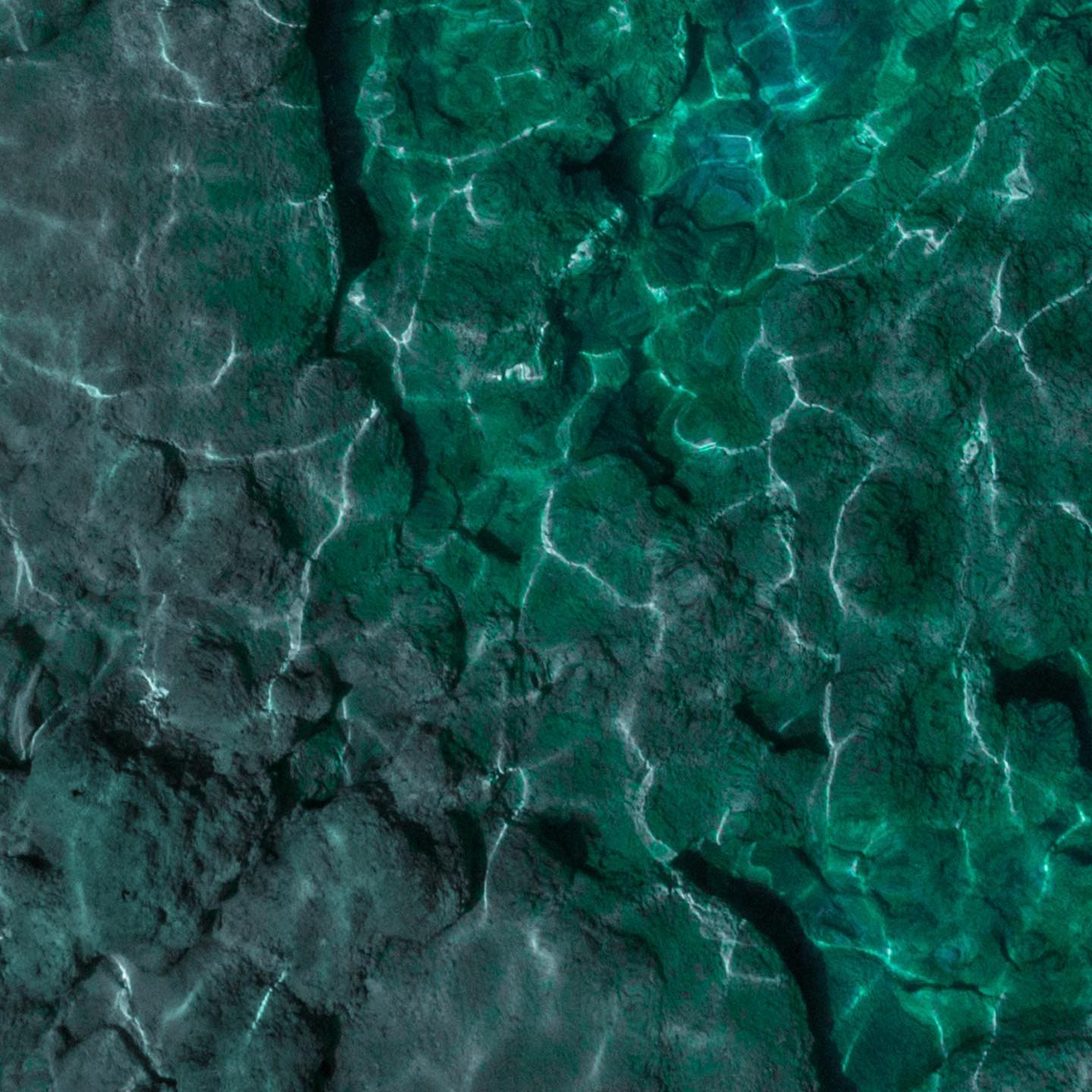 We are excited...
#Art2BeHumanDay