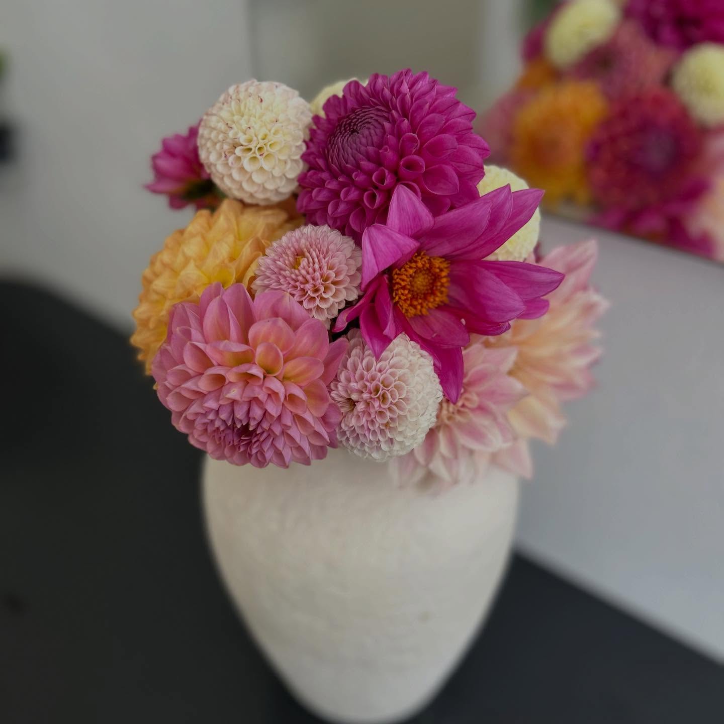 Cant get enough of the fresh dahlias from @floraroadflowers - 💕
Happy Friday everyone xx #supportlocal #invercargill