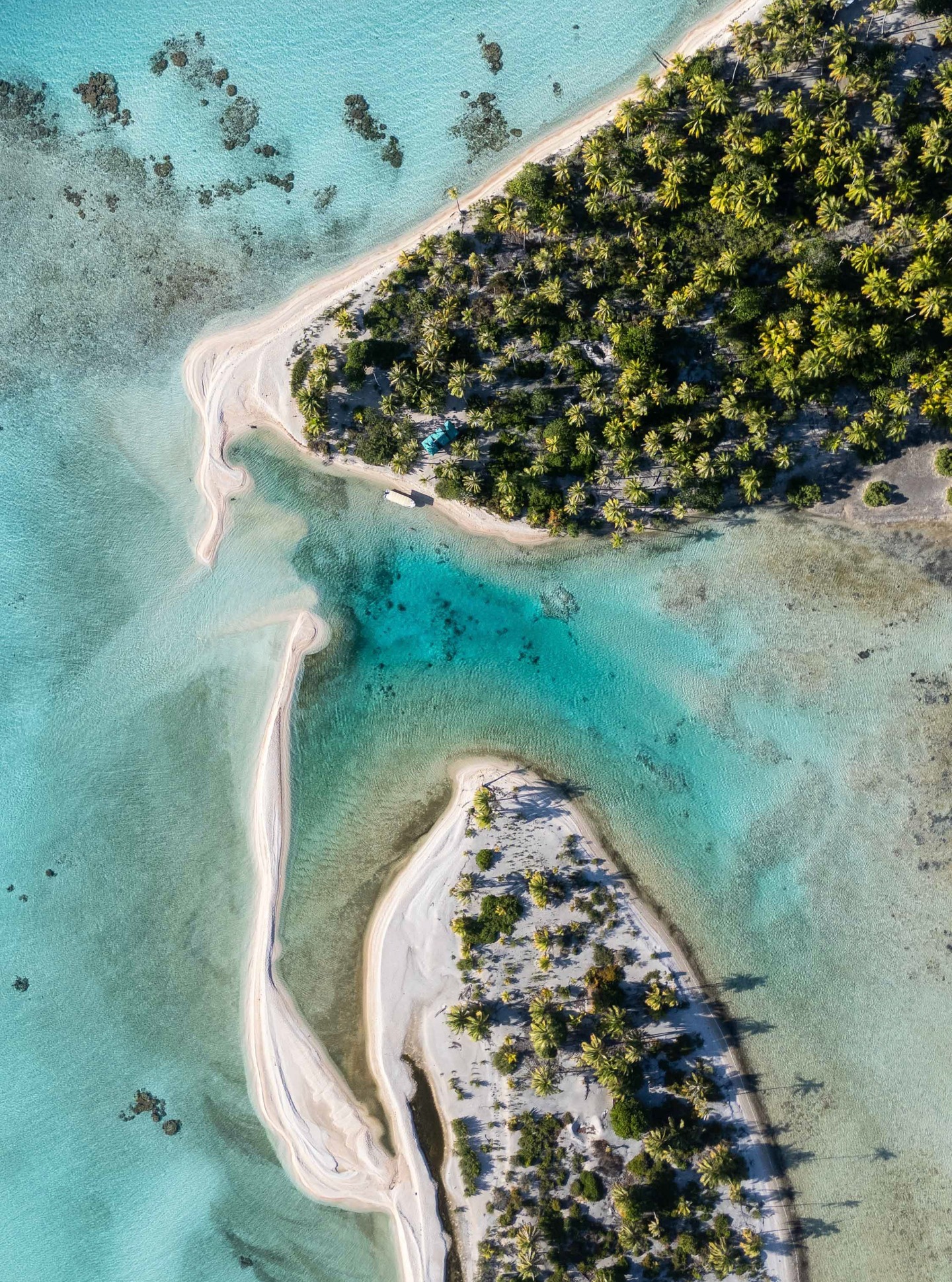 Motu de arena blanca y verde en medio de un laguna turquesa, Tikehau promete belleza y serenidad en un entorno natural preservado.
Escapa a las tranquilas orillas de las Islas Tuamotu.
.
Green and white sand Motu in the heart of a turquoise lagoon, Tikehau promises beauty and serenity in a preserved natural setting.
Escape to the peaceful shores of the Tuamotu Islands.
📷 @dmonmond
#MoemoeaTravel #PolinesiaFrancesa #FrenchPolynesia #Tikehau #Tuamotu #TurquoiseLagoon #IslandDream #MoemoeaExperience #LoveTahiti
