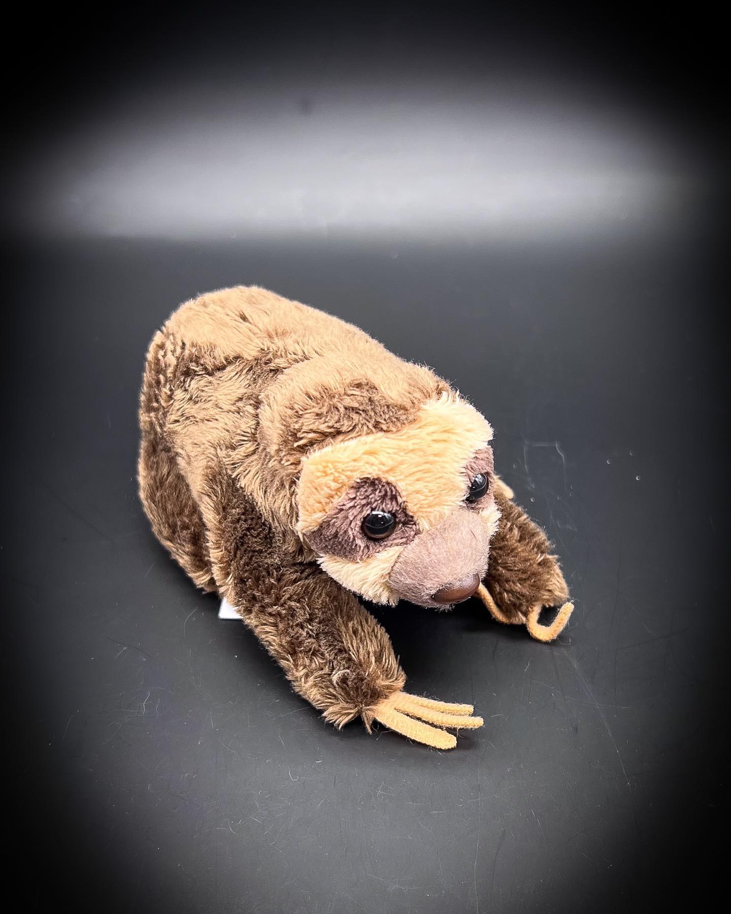 Découvrez la douceur et la tranquillité de la jungle avec notre nouvelle peluche bébé paresseux.
Fabriquée avec des matériaux de haute qualité, cette peluche est non seulement résistante mais aussi hypoallergénique.
.
.
Venez découvrir le reste de la gamme sur le site www.labelguyaneshop.com
.
.
#guyane #guyanefrancaise #peluche #paresseux #moutonparesseux #produitsartisanaux #artisanat #drapeauguyane #yana #cadeau #cayenne #labelguyane #kourou #maho #figurine #tortue #toucan #ara #tatou #Amourette #labelguyane #labelguyaneshop