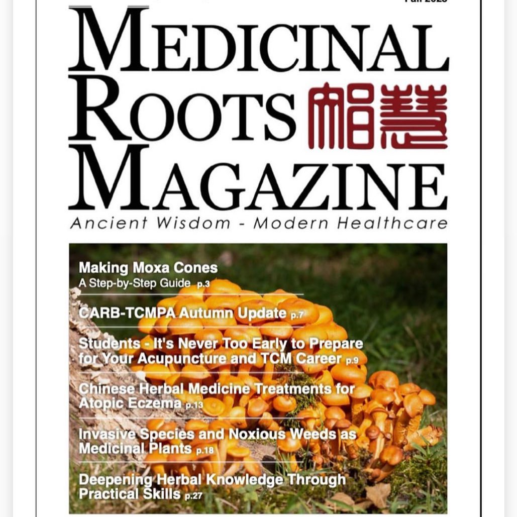 Check out my article on salve making in this issue of @medicinalrootsmagazine step by step instructions included. Tag me if you make it 😊 #traditionalchinesemedicine #chineseherbs #salvemaking #eastasianmedicine