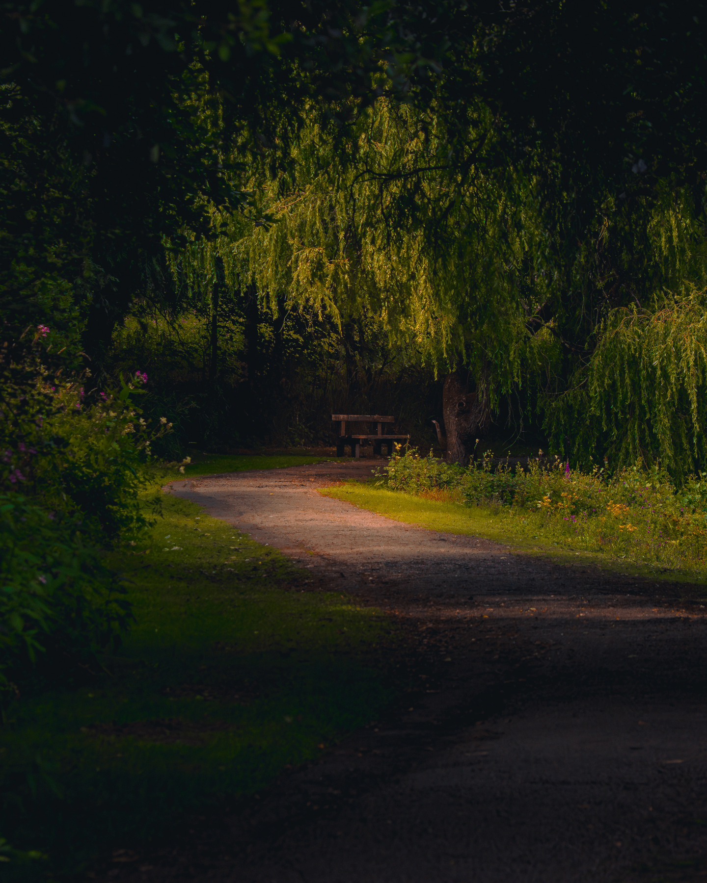 10/10 bench โจ๏ธ๐ฅฐ
Such a lovely Sunday stroll through Moses Gate Country Park this afternoon.
#bench #naturephotography #nature #landscapephotography #cinematicphotography #olympusphotographers #olympusphotographer #ukcountryparks #countryparkphotography