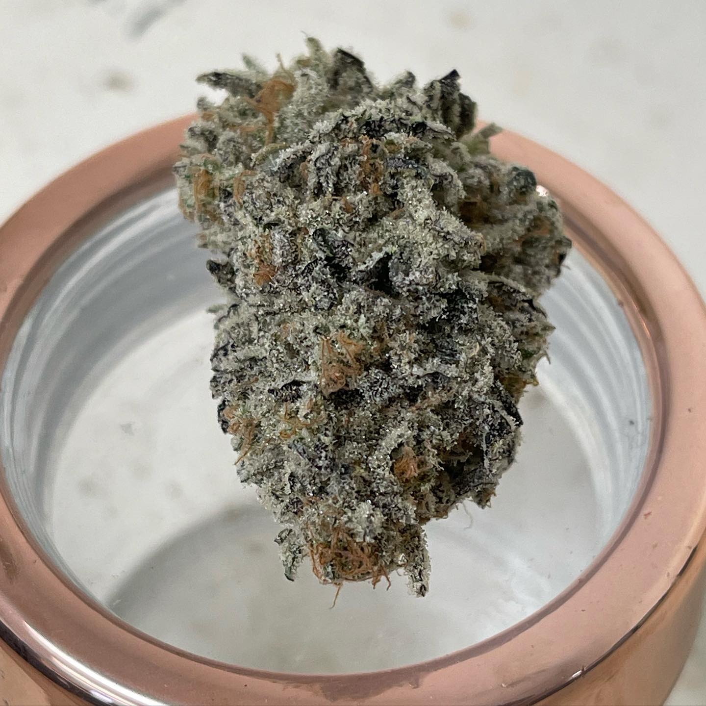 Black Cherry Punch ⚫️ 🍒 🤜🏼