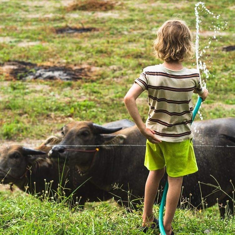 Just another day of messy hair, dirty clothes, and water buffalo. Because, obviously. 🐃
#Thailand #sukhothai #missionary #waterbuffalo
📷 @thegospel_n_photography