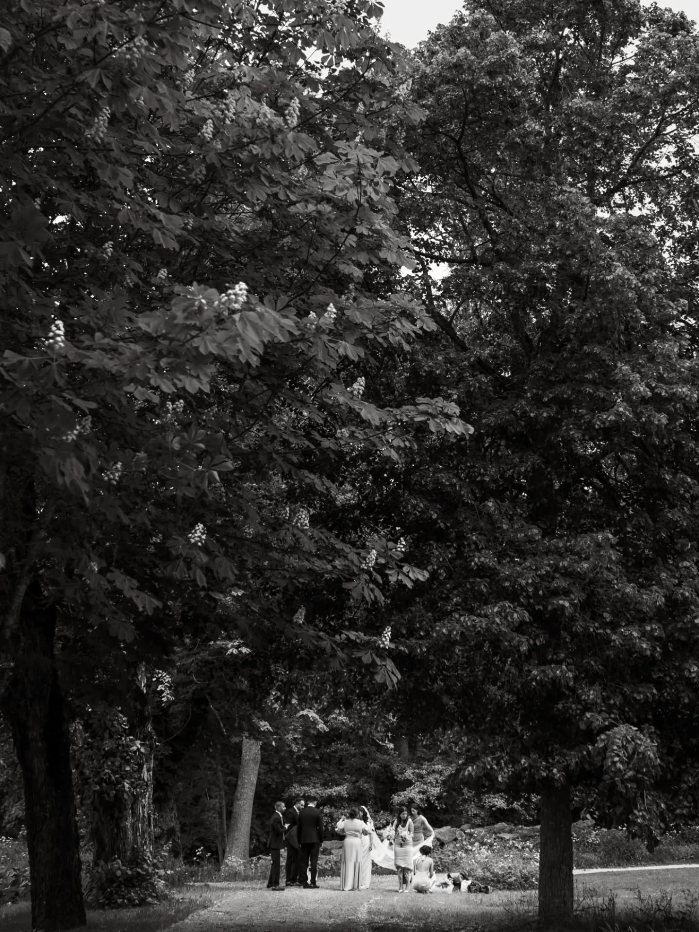 Ser ut på snön som dalar än en gång och drömmer om sommardagar med fest, kärlek och allt som är vackert. ✨️📸
Älskar de här ögonblicken från ett av alla drömbröllop jag fått ta del av. 😍
Planerar ni bröllop 2027? Hör av er! ♡
#bröllop2027
#bröllopsfotograf #drömbröllop #europeweddingphotographer #europewedding