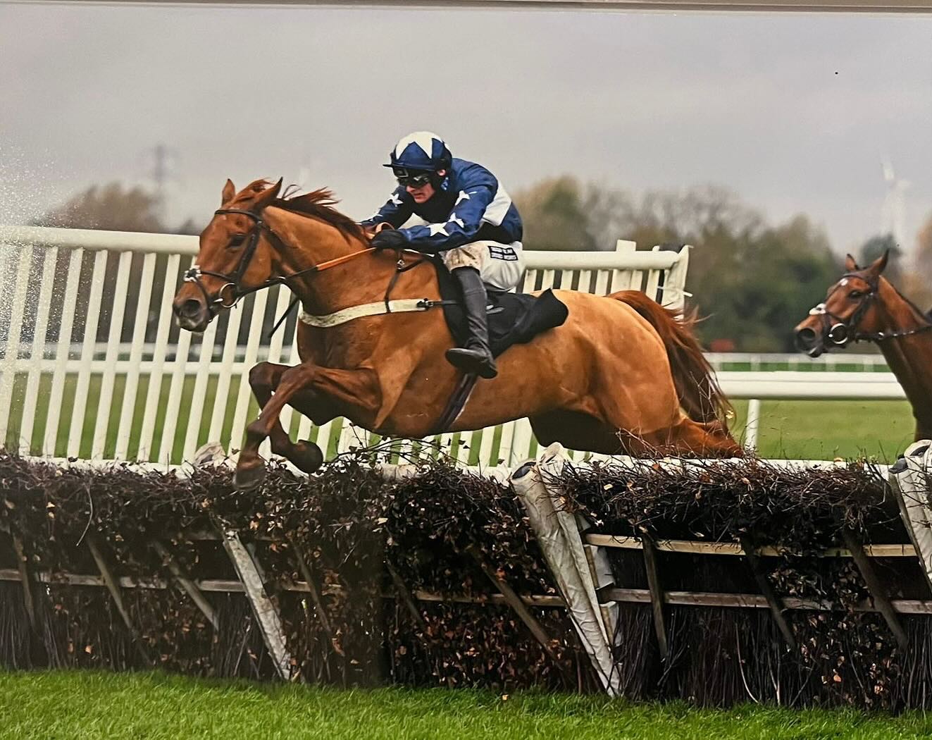 💙Gold For Alec💙gets off the mark with @callumpritchard2001 @huntingdon_race having been narrowly beaten on handicap debut. Delighted to train another winner for our yard sponsors @gundoggin and produce a jump winner for @dahlbury stallion Planteur. A great Saturday with Royal Margaux and Hystery Bere coming close 🥈’s too. A huge thank you and well done to the team at home that make these days happen 🍾🥂🏆🥂🍾 Photo 📸: @francesca_x_jane #teamsymonds #nationalhuntracing #dasoncourt #herefordshire #redmillshorsefeeds #gundoggin #dahlbury