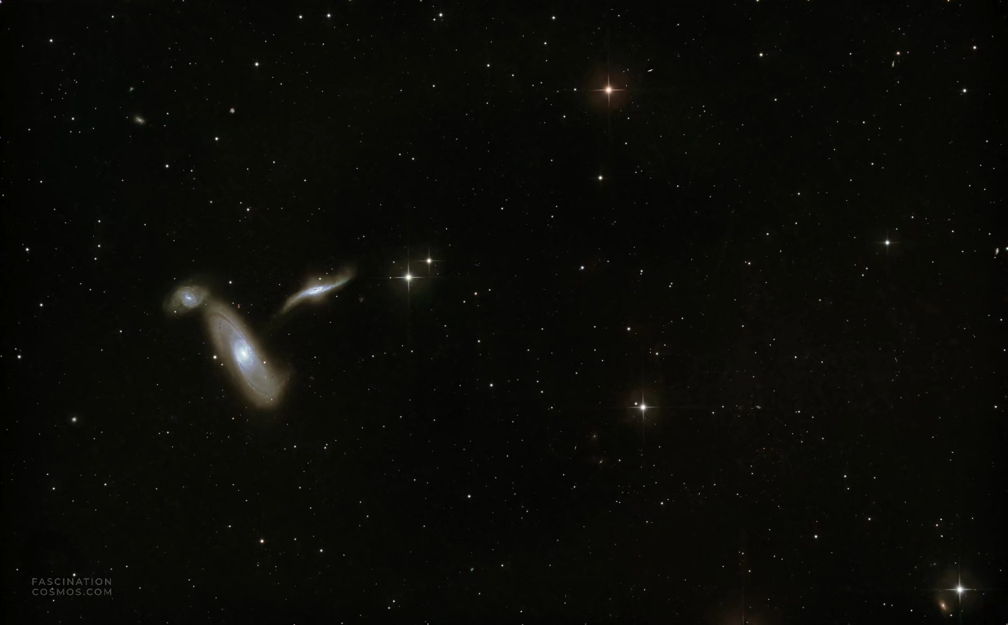 Trio in Virgo ARP286
Dieses Trio im Sternbild Virgo, zu deutsch „Jungfrau“ ist ein gravitativer Hotspot: Drei Galaxien, die einander unerbittlich anziehen, sich in Millionen von Jahren verformten. Die Bezeichnung ARP 286 umfasst alle drei Galaxien, etwa 70 Millionen Lichtjahre entfernt, als das Licht für diese Aufnahme seine Reise antrat, da stampften bei uns noch die Dinosaurier durch die Wälder ...
Katalogtechnisch spricht man bei der zentralen und größten Galaxie von NGC 5566, eine prächtige Balkengalaxie, die hier schwerkraftmäßig das Sagen hat und etwa 1,5 mal größer als unsere Milchstraße ist. Darüber die kleinere NGC 5569 und rechts davon die NGC 5560 mit ihrem ausgeprägten Gravitationsschweif. Das sind Nebel und Sterne samt ihren Planeten, die die Schwerkraft der großen zentralen Galaxie Stück für Stück absaugt und es der eigenen Galaxie einverleibt.
Belichtet mit 82 LRGB Aufnahmen mit je 240 Sekunden, in Summe etwa 5,5 Stunden Aufnahmezeit. Aufnahme in meiner Gartensternwarte mit Lacerta 12", 1200mm, f/4, QHY268M Monokamera mit 7 Filtern, QHY OAG-Nachführung mit ASI-174MM-Mono-Nachführkamera und mit einem SestoSenso2-Fokusser, alle auf einer Celestron CGX montiert. Mit Astro Pixel Prozessor, Pixinsight, Adobe PhotoShop verarbeitet.
Bitte gerne meine Post weiterleiten ! Jedwede andere Art von Kopien oder Nutzung nur mit ausdrücklicher Erlaubnis des Copyright Inhabers. Bestellung von Kopien und Bildern gerne unter https://photo-portal.shop/profiles/fascinationcosmos.com/#/ oder per Nachricht an mich.
#fascinationcosmos #faszinationkosmos #franzrettenbacher #astrophotography #astrofotografie #astrophoto #astrofoto #deepsky #astronomie #astronomy #amateurastrophotography #qhy268m #CelestronCGX #deepspace #ARP296 #TrioInVirgo