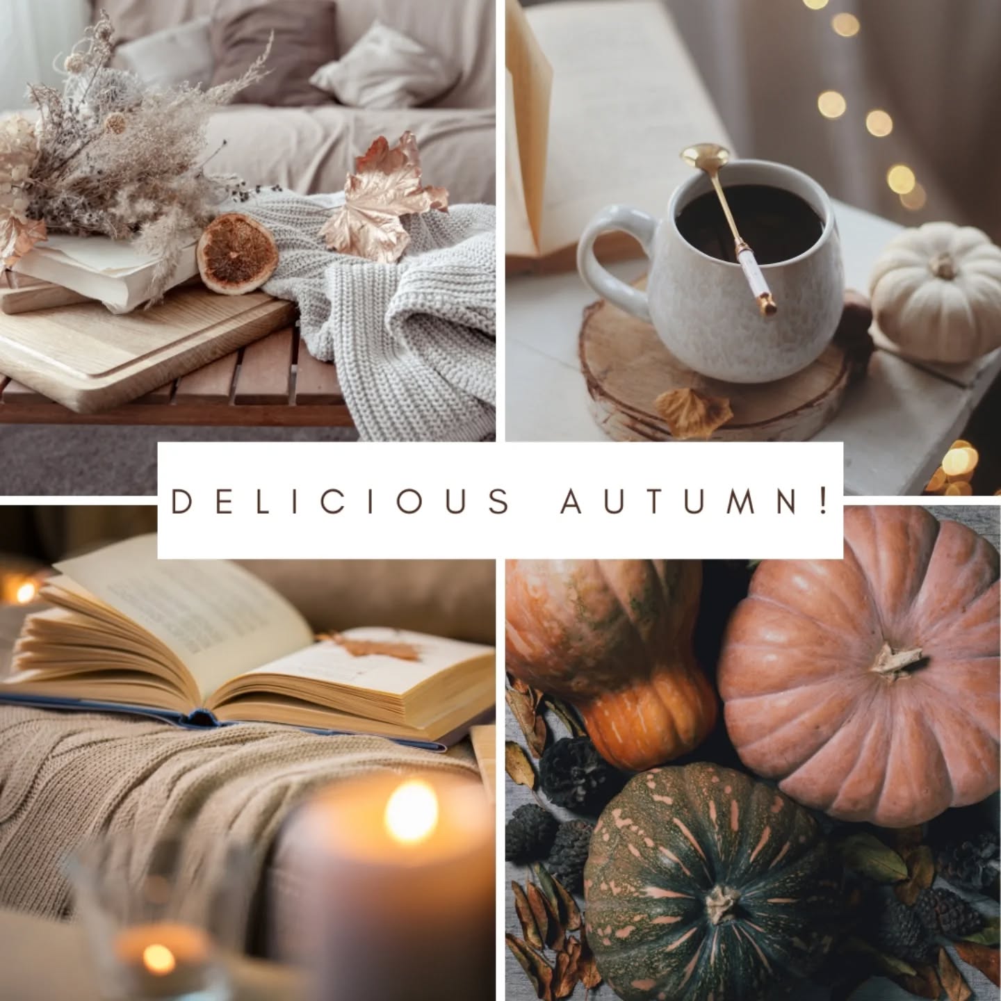 "Delicious autumn! My very soul is wedded to it, and if I were a bird, I would fly about the Earth seeking the successive autumns."
Mary Ann Evans, known by her pen name George Eliot, was one of the leading English novelists, poets, and writers of the Victorian era.
Although female authors were published under their own name at this time, she wanted to escape the stereotype of women's writing being limited to lighthearted romances.
As the days grow shorter, the air feels a little fresher, autumn invites us to slow down and enjoy simple pleasures.
How do you unwind and make time for yourself at this time?
Whether it's curling up in a cosy corner with a good book, finding the perfect pumpkin spiced latte, or even writing your own inspirational words, embrace this moment to recharge, reflect, and nurture yourself.
If you want more tips on how this special season can inspire your learning journey, check out my autumnal blog at ford-learning.co.uk/blog 🍁🍂🍃
#selfcare #languagelearning #autumn