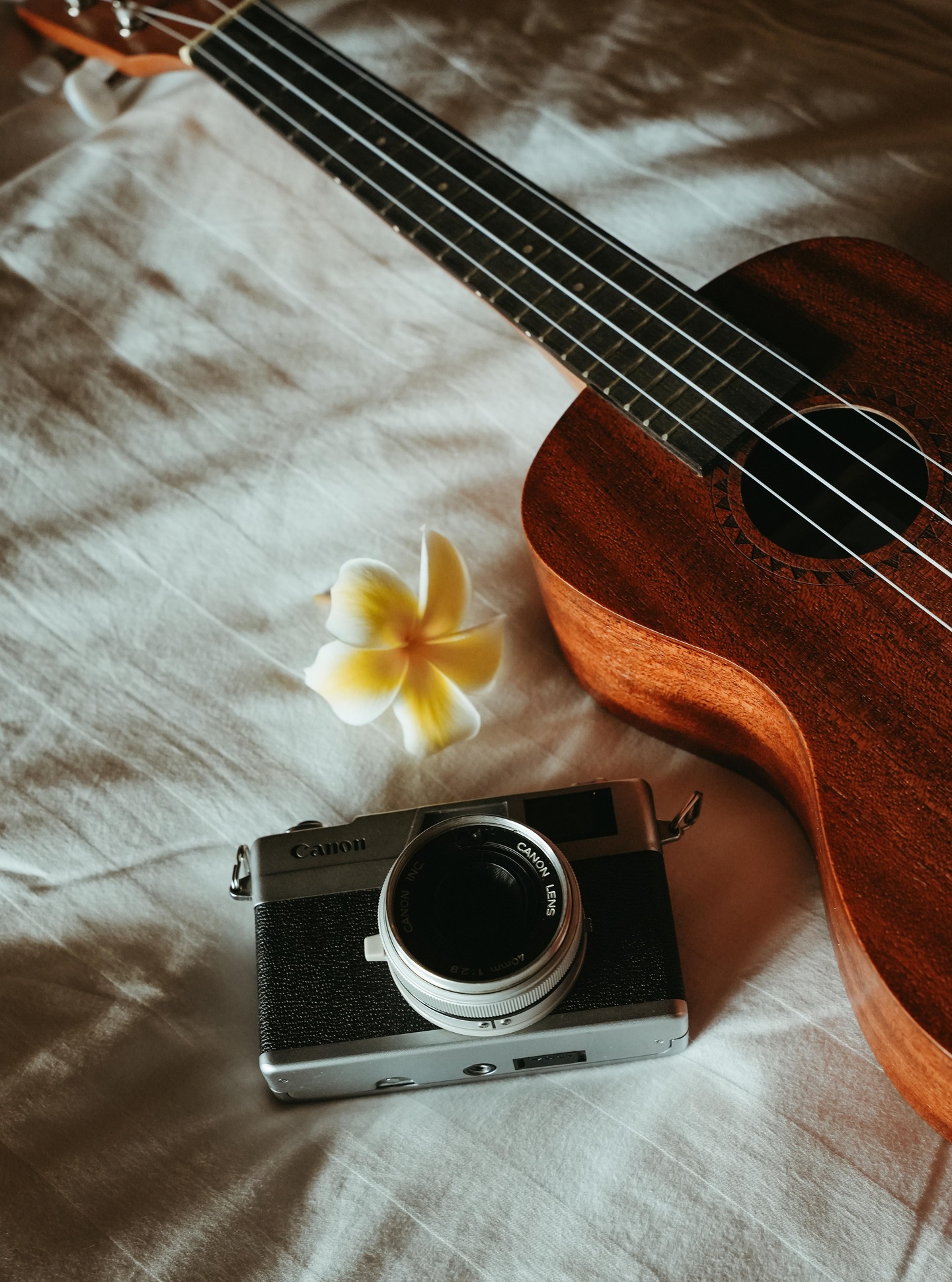 La magia está en los detalles.
Un ukelele, una flor y una cámara: la esencia de la Polinesia Francesa capturada entre luz, música y recuerdos.
.
Magic lives in the details.
A ukulele, a flower, and a camera : the essence of French Polynesia captured through light, music, and memories.
📷 @emmatournier_ | @ic_boraboralemoana
#MoemoeaTravel #PolinesiaFrancesa #FrenchPolynesia #IslandVibes #TravelMoments #SlowTravel #SlowLuxury #IslandMood #CapturedMoments #LoveTahiti