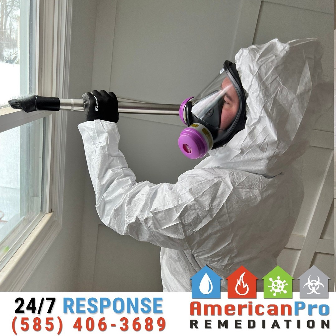 🧹🔥 HEPA Vacuuming: Removing Soot Safely and Effectively
After a fire, soot particles settle everywhere, creating mess, odors, and potential health hazards. At American Pro Remediation, we rely on HEPA vacuuming as a crucial first step in fire damage cleanup.
🔹 Why HEPA Vacuums?
✔️ High-Efficiency Filtration: Captures tiny soot particles that standard vacuums can’t, improving air quality and safety.
✔️ Gentle on Surfaces: Safely removes soot without spreading it or damaging delicate areas like walls, ceilings, or furniture.
✔️ Prepares for Restoration: Thorough removal of loose soot ensures the surface is ready for cleaning and deodorization.
Our HEPA vacuums work hard to clear the mess, so we can focus on fully restoring your space. Your safety and health are always our top priorities.
📞 Call us today at 585-406-3689 for expert fire damage cleanup and restoration!
#AmericanProRemediation
#HEPAVacuuming
#SootCleanup
#FireDamageRestoration
#AirQualityMatters
#DisasterRecovery
#WeRestorePeace