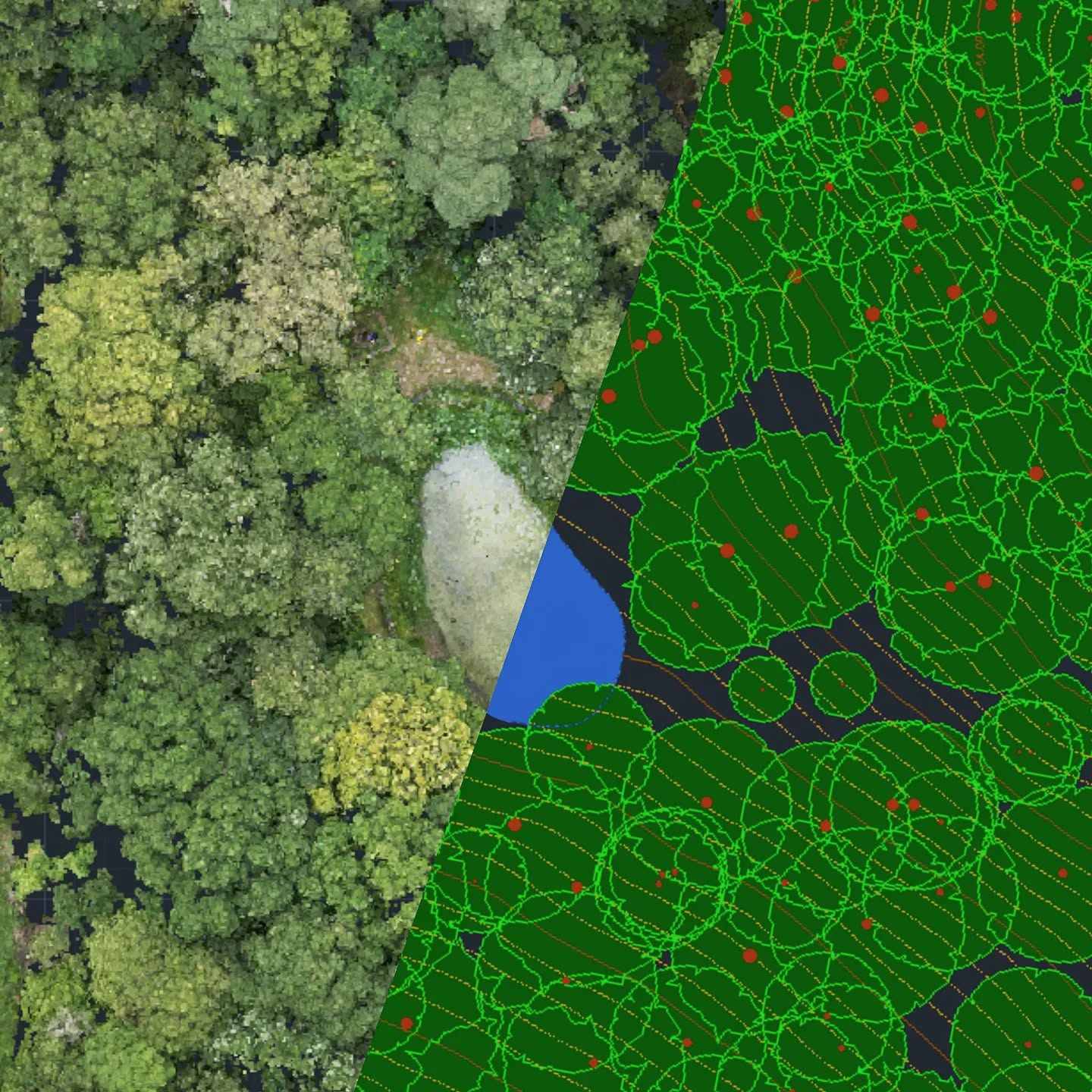 We have completed a topographic survey of a wooded area measuring 4.3 hectares. A total of 973 trees were recorded. We have used a robotic total station combined with a drone 3D point cloud. The results are an efficient integration of ground and aerial data, yielding comprehensive insights into the area's topography, tree distribution, and spatial characteristics for informed decision-making and resource management.
.
.
.
.
.
#Woodland #Treesurvey #Surveylife #Surveying #Architectuk #Landmanagement #Wetland #Floodrisk #Ecologysurvey #AerialMapping #Topographicsurvey #Topographical #Dronesurvey #Trimble #Treeconstrains #Geomatics #Geospatial