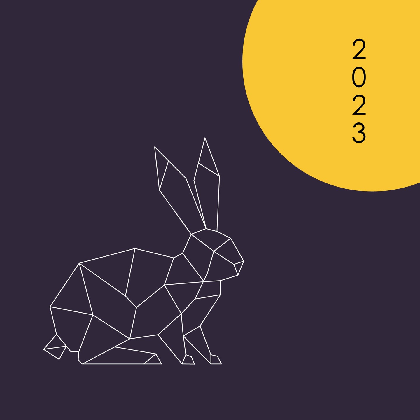 Happy New Year!
#lightasia #happynewyear #2023 #yearoftherabbit