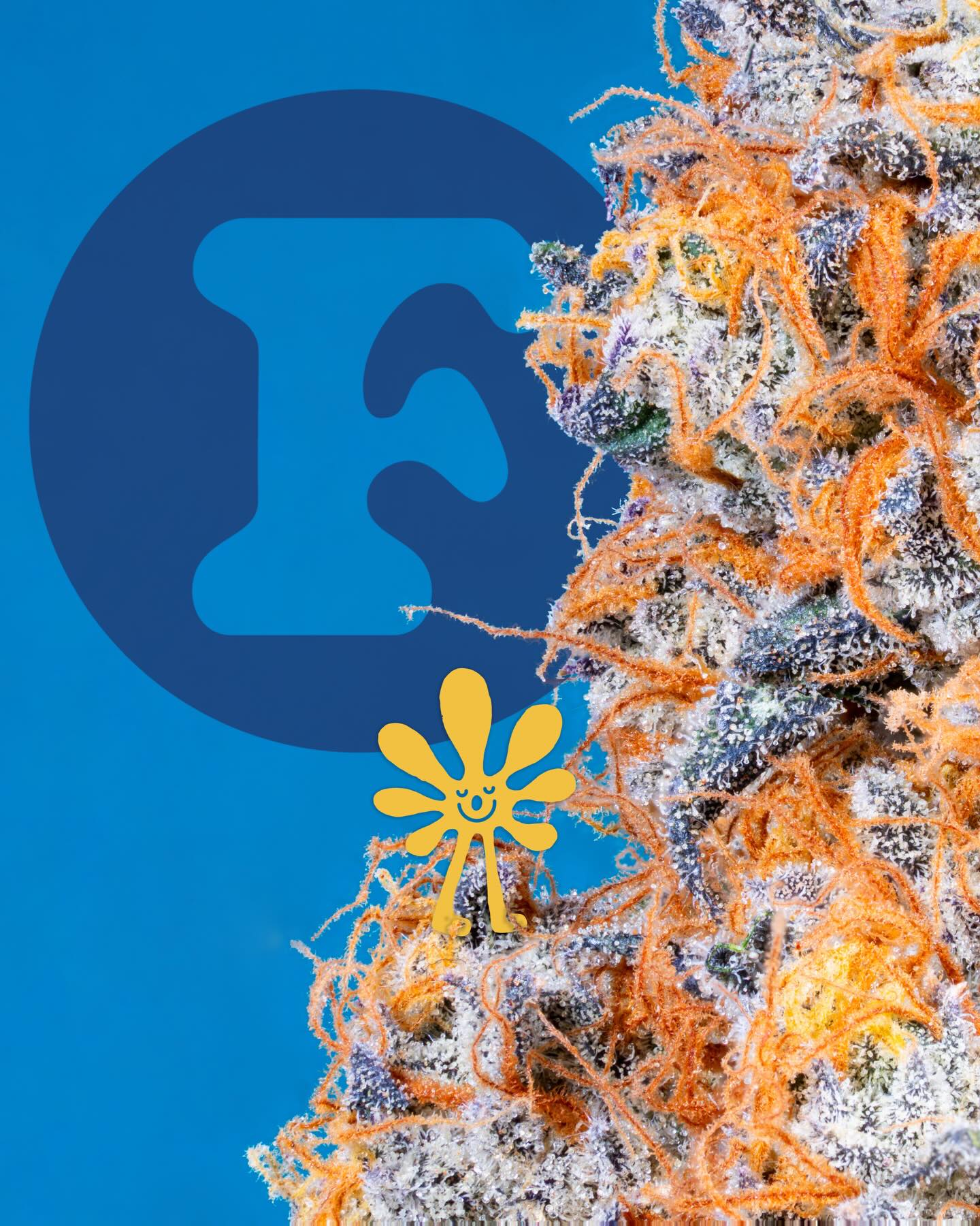 We’re here to help as you get into the weeds today.