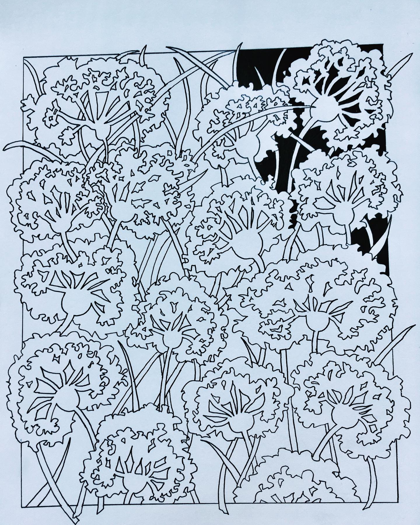 Enjoying a bit of sketching with the brushpen #blackandwhite #flowerheads #negativespaces #pattern