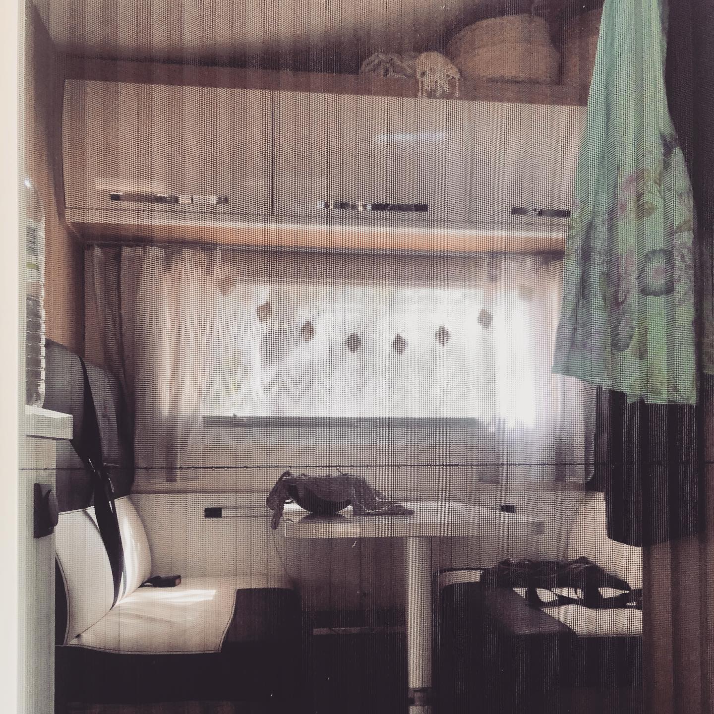 missing the simple vanlife…
…nichts müssen, im Sein verweilen, Zeit haben. Niemand stellt Ansprüche, nicht einmal ich an mich selber. Da sieht es jetzt, im Monat Dezember ein wenig anders aus. Es müssen (wollen) Gritibänze und Guetsli gebacken werden, man muss (will) einen Samichlaus für die Kinder organisieren,… . Wir hatten dann doch keinen, weil unser Chlaus am Wochenende vor seinem grossen Auftritt ganz plötzlich einen Kollegen verlor. Da relativiert sich dann ganz schnell ganz vieles.
Eine Woche später hab ich für den Schulsilvester meiner Tochter einen Teig für Mailänderli vorbereitet. Als wir die fertigen Guetsli aus dem Ofen nahmen, rochen sie nicht nur seltsam, sie sahen auch ganz komisch aus. Mein Sohn hatte bereits vom rohen Teig probiert und sagte immer wieder, dass da gar kein Zucker im Teig sei . Dummerweise hörte ich wieder einmal nicht auf die Kinder 🙄. Und ich hab nicht probiert, weil mir da schon ein bisschen schlecht war. Eine Stunde später, tatsächlich, Magendarmgrippe ahoi 🤢. Klammer auf, Klammer zu.
Schlussendlich fanden wir heraus, dass ich dem Teig statt Rohrzucker Griess beigegeben hatte 🙈🤪.
Die Guetsli futtern jetzt unsere Hühner und unterdessen liege nicht nur ich flach, sondern auch Gatte und Sohn. Und die Ansprüche an die restlichen Advents- und Weihnachtstage? Die sind dermassen gesunken, dass es eine Wohltat ist. Wie sagte neulich ein mit uns befreundeter Pastor? Weihnachten ist kein Anspruch an uns. Weihnachten ist Zuspruch 🤍.
.
.
.
.
.
.
.
#dezember #adventszeit #weihnachten #christmas #entspannung #entspannen #ansprüche #claim #claims #lebenmitkindern #familienalltag #elternschaft #eltern #elternsein #mom #momlife #maman #mamansuisse #mami #mama #parenting #parent #parents