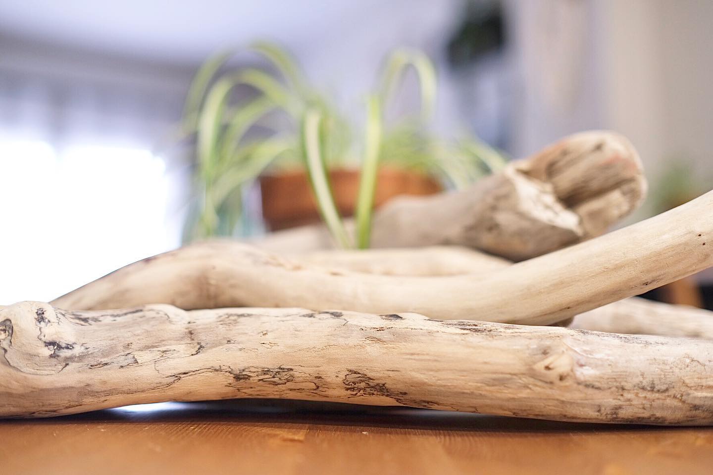 Carefully chosen from our long hikes on “The Great Trail” in Ontario. The driftwood are handpicked and cared for with love before adding your favourite @knotbyhannah macrame design.
Driftwood care 🪵
1️⃣ remove loose bark
2️⃣ sand sharp edges
3️⃣ bleach
4️⃣ rinse
5️⃣ repeat, always repeat
✨ Ready for your custom order! ✨
#knotbyhannah #handmade #macrame #boho #home #driftwood #decor #homedecor #bohostyle #bohohome #toronto #shoplocal #ontario #shophandmade