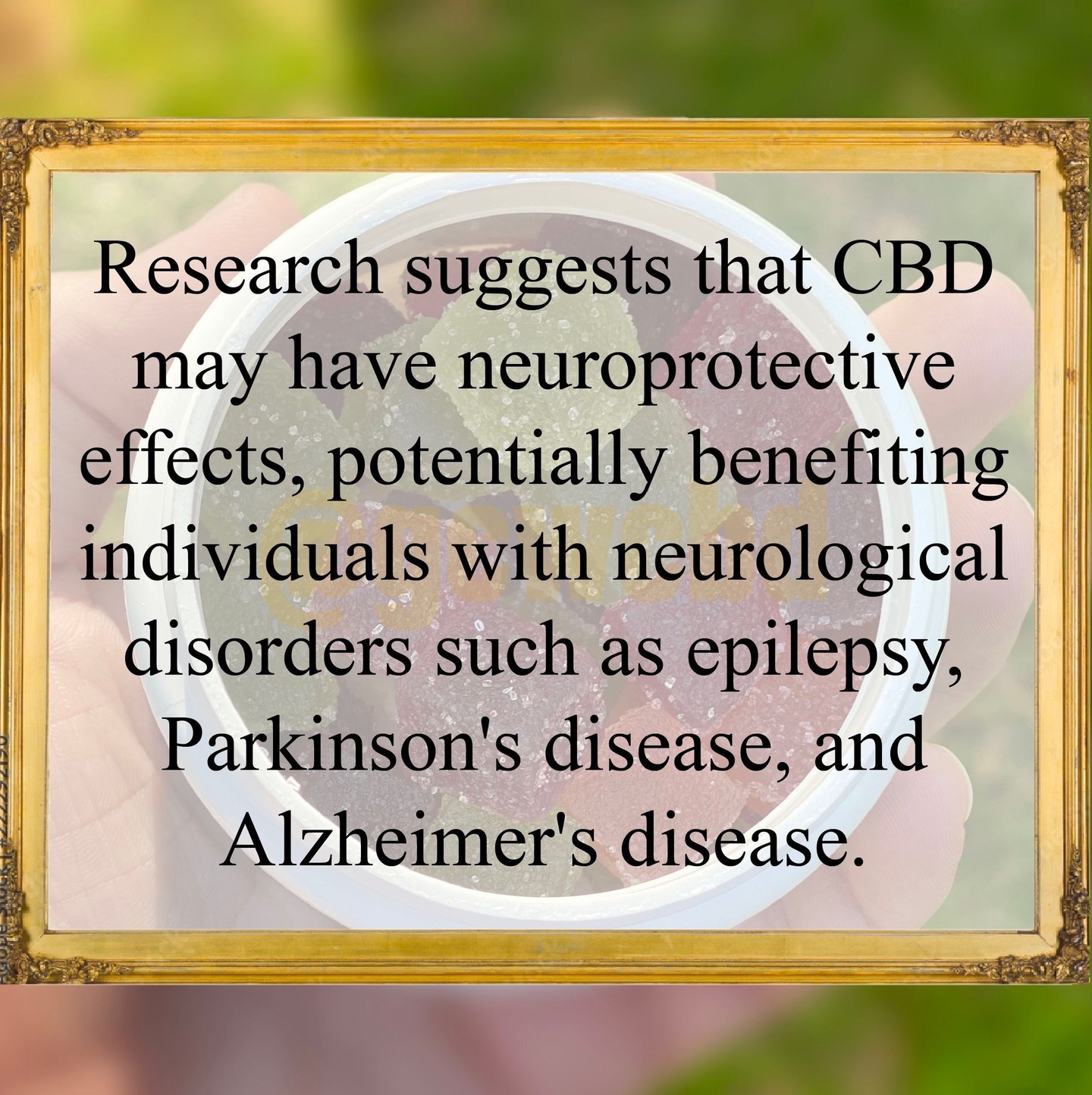 How much do you know about CBD? Checkout this fact!
#cbd #cbdfacts #fact #learn