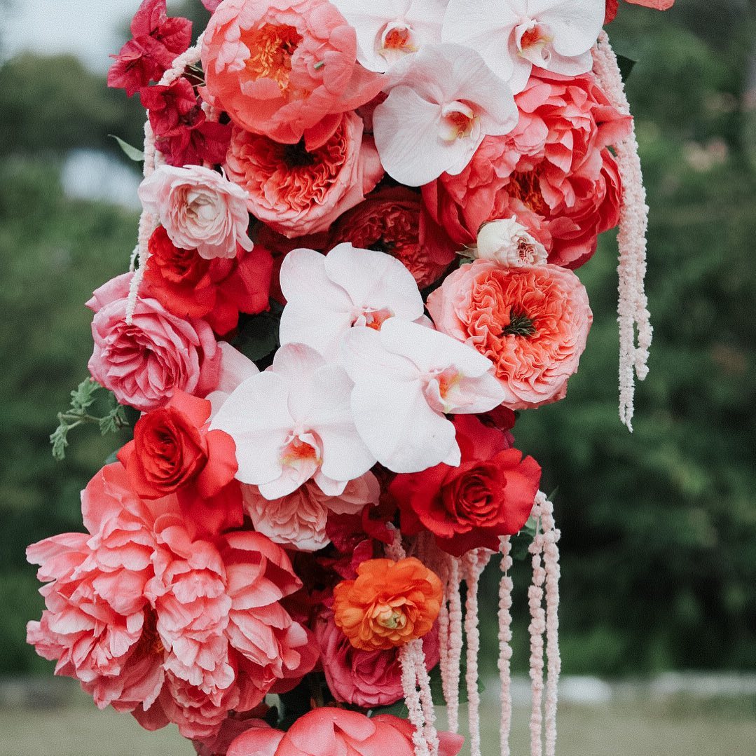 These beauties 💓❤️🌸🍉 #atholhallwedding #peoniesaremyfavorite #peonyseason #mosmanwedding #northernbeacheswedding #northernbeachesflorist