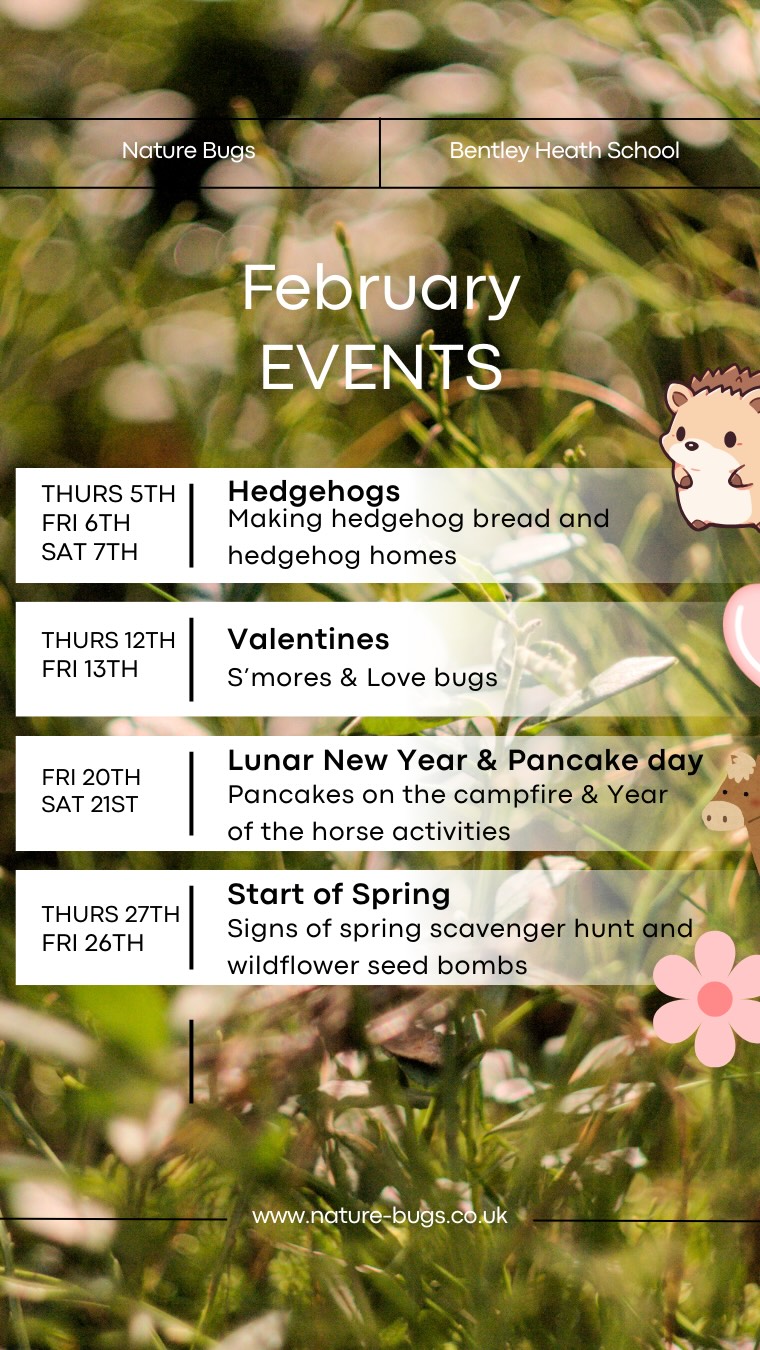 With February right around the corner we thought we would share all of the muddy adventures we have planned
Keep an eye out for our two Saturday Specials and our Half Term extra session too!
Think muddy boots, cosy camp fires, forest play and lots of outdoor crafts 🦔
