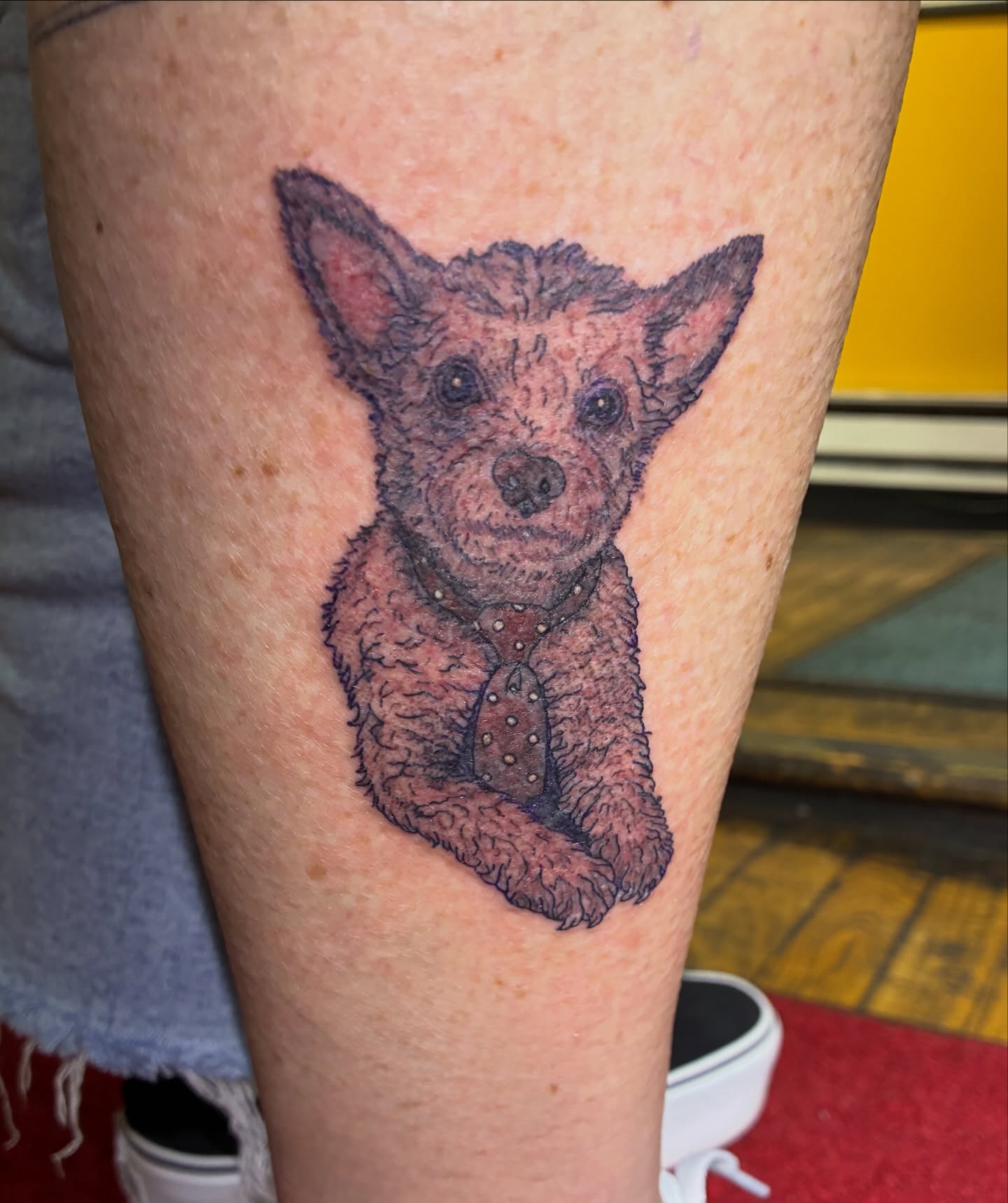 Made @tattootattooseattle with @steadfasttattoosupply needles, disposable tubes, and sick a$s twist lock grips.
#petportraitsofinstagram #petportraittattoo #seattle #hiddengems #steadfast