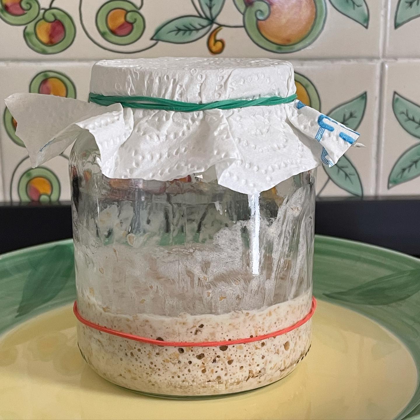 WE HAVE LIFT-OFF! 😊 Day 11: Following a complete collapse for several days with not even a single air bubble, finally since yesterday morning there is a visible rise. Now will feed it for a couple of days to make it stronger and see it double in volume faster. Meanwhile collecting flour and bread spices… so happy! 😊 Reviving Sourdough Starter Day 11: Same procedure: move 25g of starter to fresh bowl (discard rest), add 25g flour, 25g water, stir vigorously, cover and leave until it doubles in volume. Feed twice a day from now if necessary #sourdoughstarter #revivingsourdoughstarter #lievitomadre #sourdough #mytropeakitchen #bakingbread #sourdoughbread