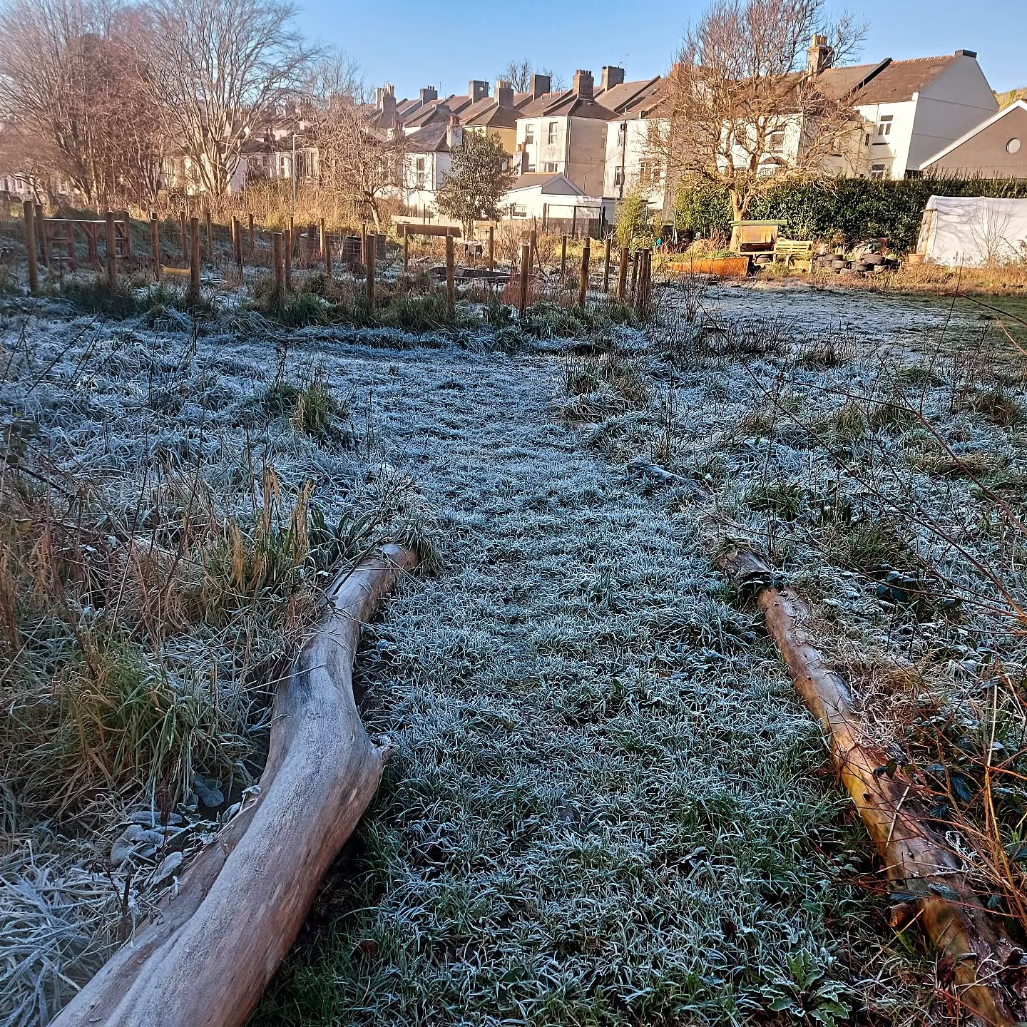 Such beautiful frost on site in the colder weather