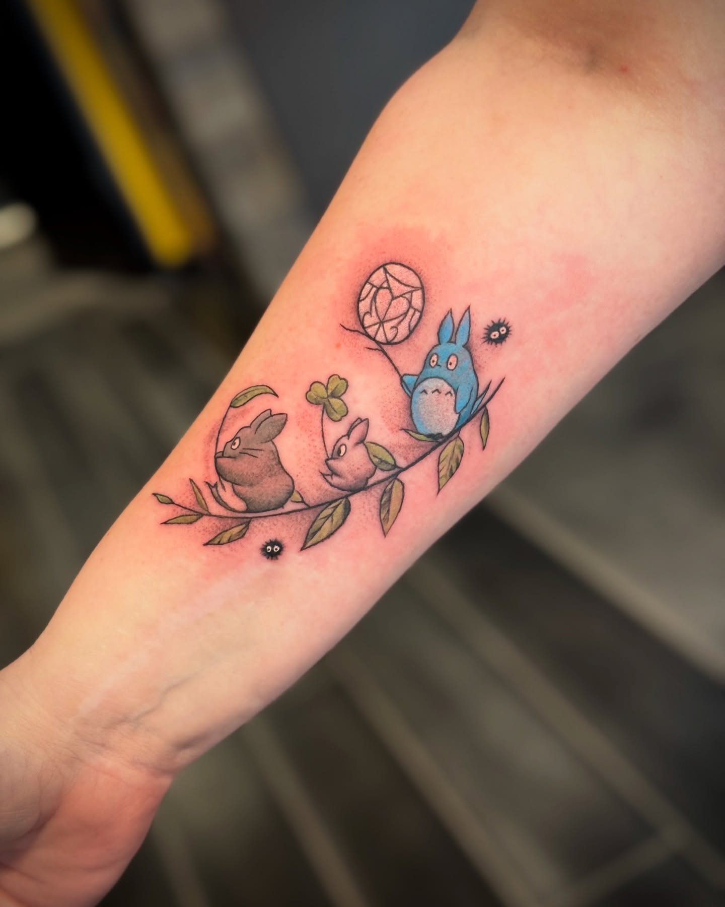 ✨ First tattoo and it’s absolutely magical✨ 🌿🌙thank you for the trust!
A little ink, a lot of heart, and a whole lot of nostalgia.
What’s your favorite Ghibli movie? Let us know in the comments! 💫
#StudioGhibliTattoo #FirstTattoo #GhibliLove #Totoro #HowlsMovingCastle #KikisDeliveryService #TattooArt #MagicalInk #AnimeTattoo #GhibliForever