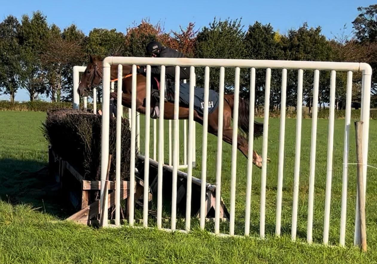 👑👸👑 #dahlbury #nhracing #shesaqueen #thomassymondsracing #teamsymonds #autumnmornings #herefordshire #dasoncourt #redmillshorsefeeds #gundoggin