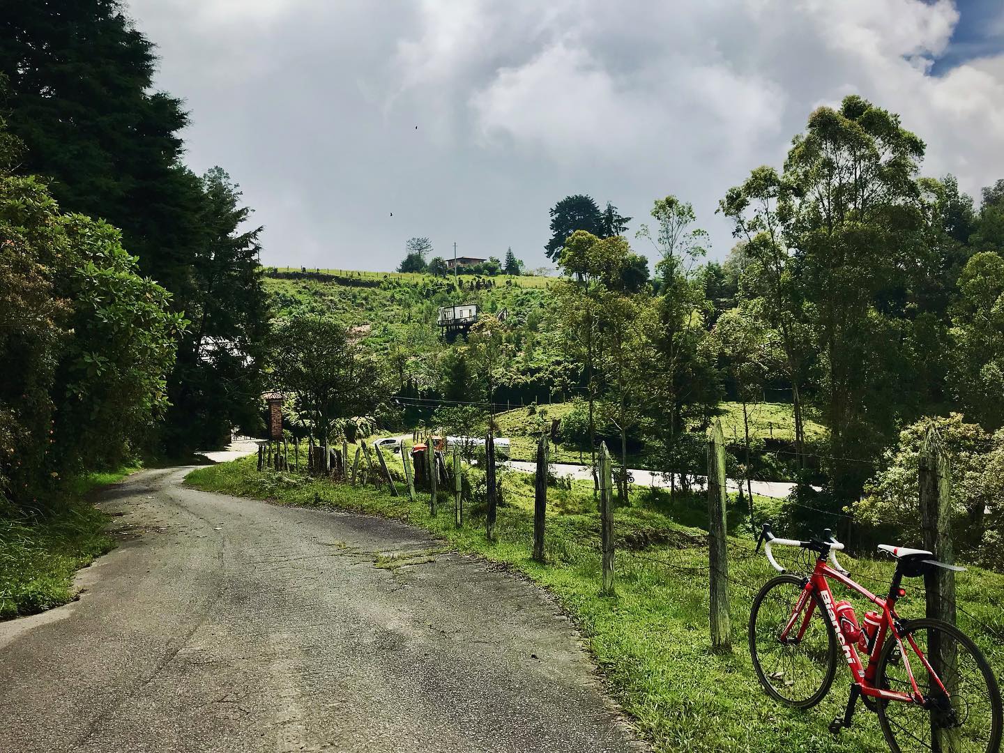 Just a peaceful view. Green and quiet… ⛰🪷🚲
•
•
•
•
•
#cyclingculture #insearchofup #cyclingmemories #roadcyclingpics #ridelots #lifebehindbars #roadporn #whyiride #roadslikethese #cyclingporn #fromwhereiride #beautyofcycling #cyclingphotography #whereiride #outsideisfree #wymtm #switchbacks #instaroads #mountainpass #fromwhereweride #cyclingadventures #roadcyclist #cyclingshots #roadstotravel #mountainphotography #roadstoride #natgeotravels #cyclingtour #cyclingholidays #cyclingaddiction