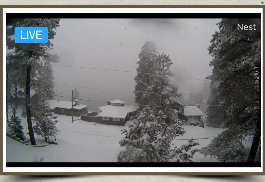 Well thats one way to wake up on Easter Morning!
Happy Easter Munds Park!
#easter #mundspark #snow #snowing