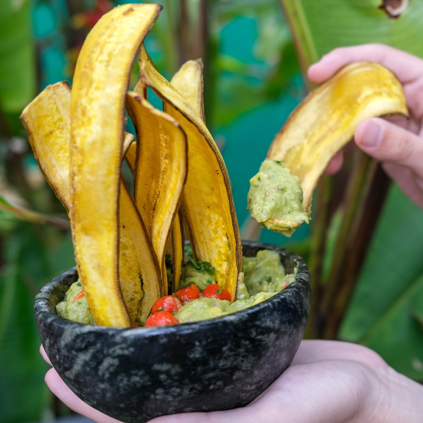 Fim de semana perfeito para curtir todo nosso cardápio recheadíssimo com receitas incríveis - vegetarianas e veganas -, preparadas pela Chef @priherrerachef.
Hoje e amanhã das 12h às 22h. Esperamos você por aqui! 💚
Rua Harmonia, 278 - Vila Madalena.
#restaurantebananaverde #vegan #vegetariano #restaurantevegetariano #restaurantevegano #vilamadalena #pinheiros