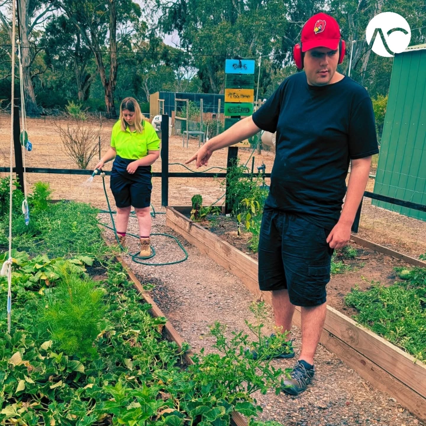 From soil to harvest, teamwork makes the garden work! 🌻
.
.
.
.
.
.
.
.
#registeredprovider #NDIS #UnleashCreativity #BreakingBarriers #SupportingTalent #abilitynotdisability #disabilityservicesadelaide #communitysupport #autismawareness #disabilitysupport #ndisadelaide #smallbusinessaustralia #dayoptions #farmlife #gardeningaustralia #ndissupport #communityaccess #smallbusinessadelaide #smallbusinessowner #supportworker #disabilityinclusion #attunedcare #adelaidedisabilitycare #disabilityservicesadelaide #myadventures #ndis #ndisprovider #gosouthgolocal