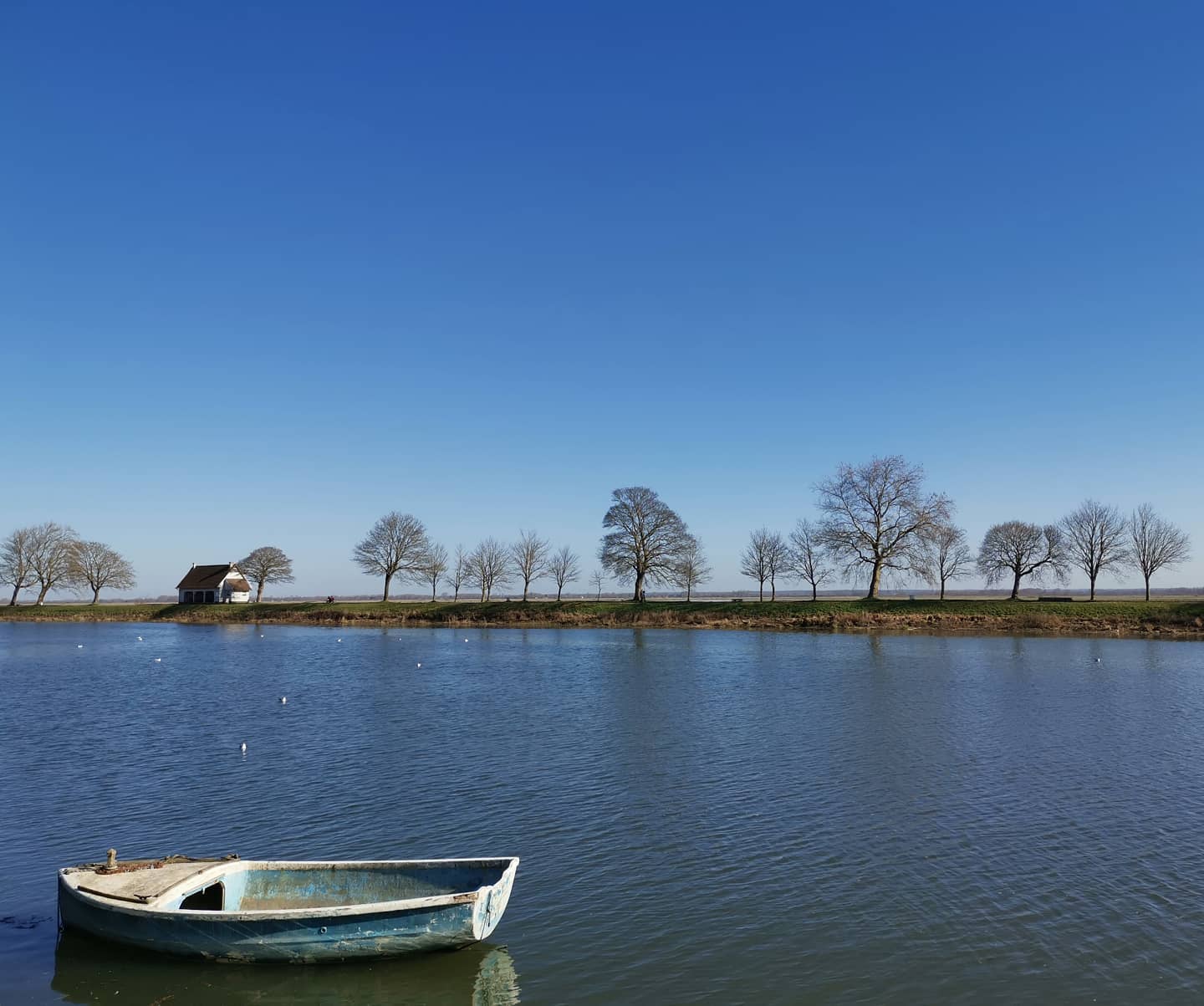 #nofilter #sunnybaiedesomme #peacefulnature #baiedesomme