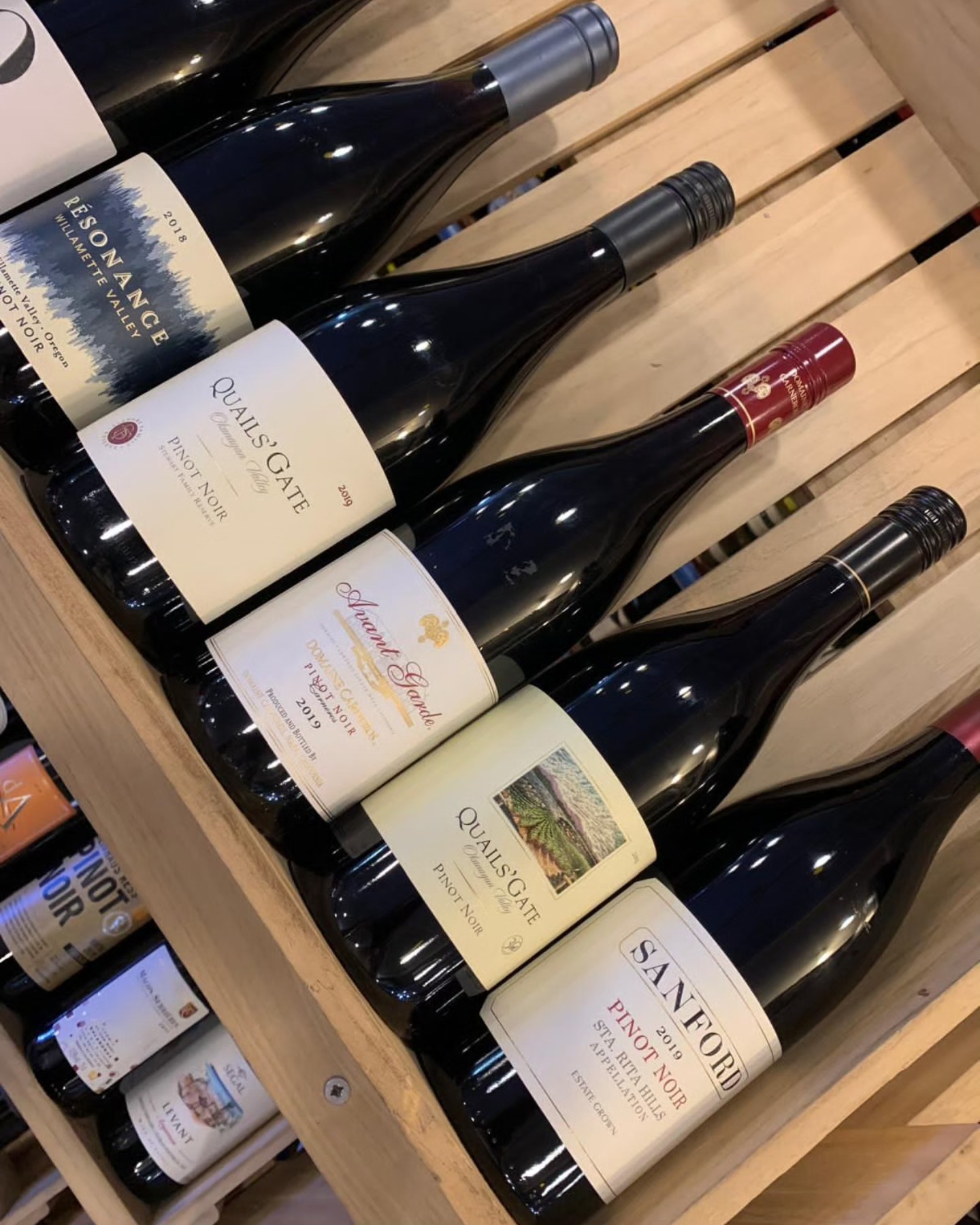 A stellar showcase of Pinot Noir elegance: from Oregon’s silky RÉSONANCE Willamette Valley, to British Columbia’s refined Quails’ Gate Stewart Family Reserve, the French finesse of Arnaud Gautheron Bourgogne Pinot Noir, the classic charm of Quails’ Gate Pinot Noir, and finally the California beauty of Sanford Sta. Rita Hills Estate Pinot Noir. 🍷✨
Come explore this exquisite lineup and more in-store or online.
📍 Visit us at: Islington Wine, 289 Liverpool Rd, London N1 1NF
🛒 Shop online: www.islingtonwine.co.uk
#PinotNoir #WineLovers #ResonanceWines #QuailsGate #BurgundyWine #OregonWine #CaliforniaWine #BCWine #FrenchWine #SanfordWines #RedWine #WineCollection #IslingtonWine #LondonWineShop #winesoftheworld