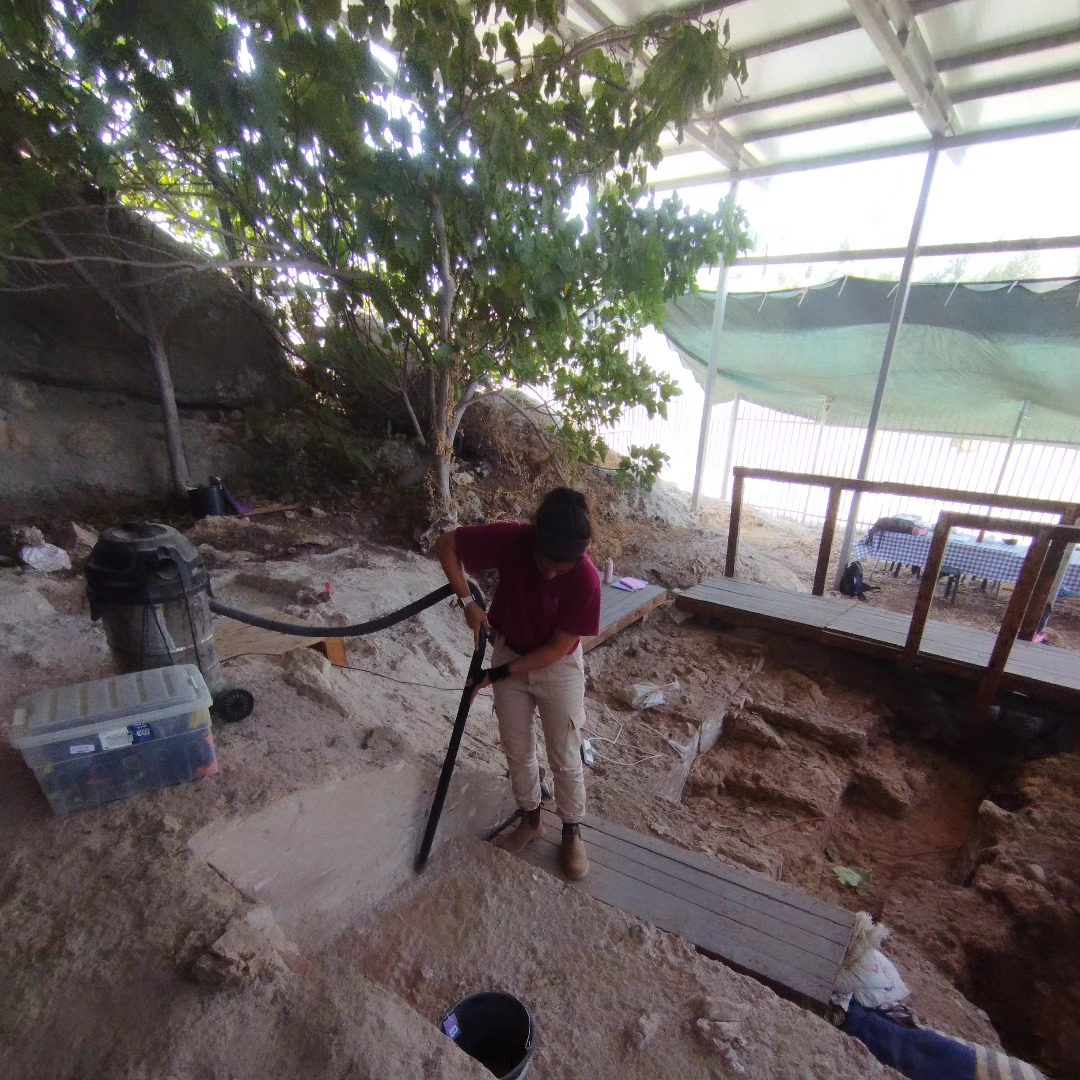 Cleaning at the end of the week
.
.
.
#archaeology #lithics #excavation #prehistory #paleolithic
@sapir__bh