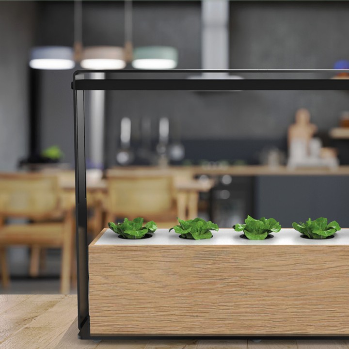 Designed for home and restaurants; With a growing cabinet, it allows you to present many products to your table in the freshest form.
Excellent greens are obtained with high-quality LED chips, ideal photosynthesis conditions with full spectrum.
It has a special design with a static painted aluminum body, a stainless water tank and a wooden structure. 5 Plants can be grown at a time.
#ledgrowlights #indoorgardenkit #LED #horticulture #bilimselyetiştiricilik #greenhouse #growlights #evdebitki #spectbee #hydroponicfarming
