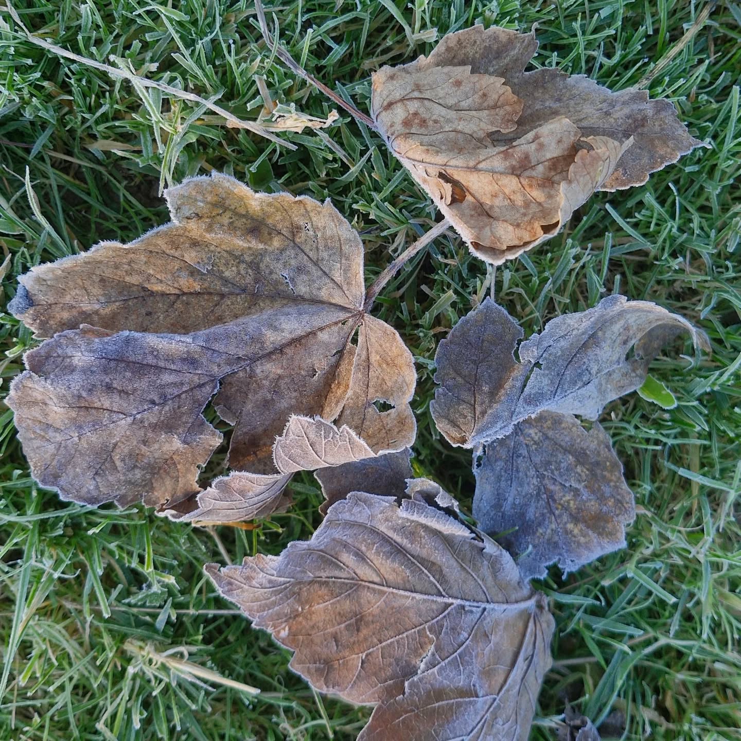 Colder and darker days.