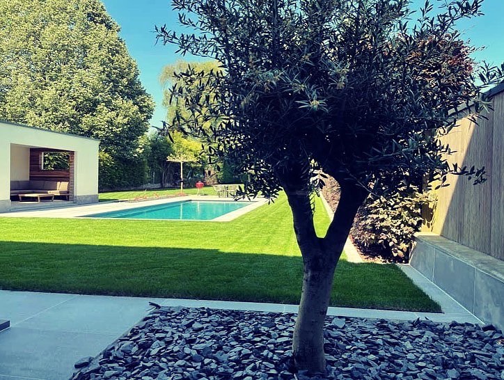 Ontdek onze nieuwe website! https://www.vdbgardening.be/