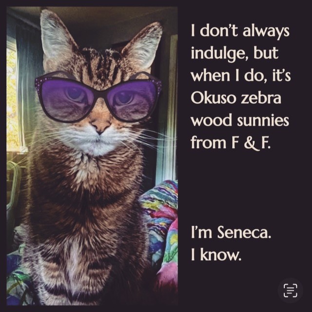 Would you take advice from the most interesting cat in the world? #caturday #saturday ...We would! Perhaps our most discerning partner, always take Seneca's advice! #sunnieson #sumnmersunnies #sunnieslove @okuso_custom_gifts #westchesterpa #northcoventry #royersford #BirdsboroPA #chestersprings #springcitypa #downingtownpa #phoenixvillepa #pottstownpa #pottsgrove #elversonpa #extonpa #malvernpa