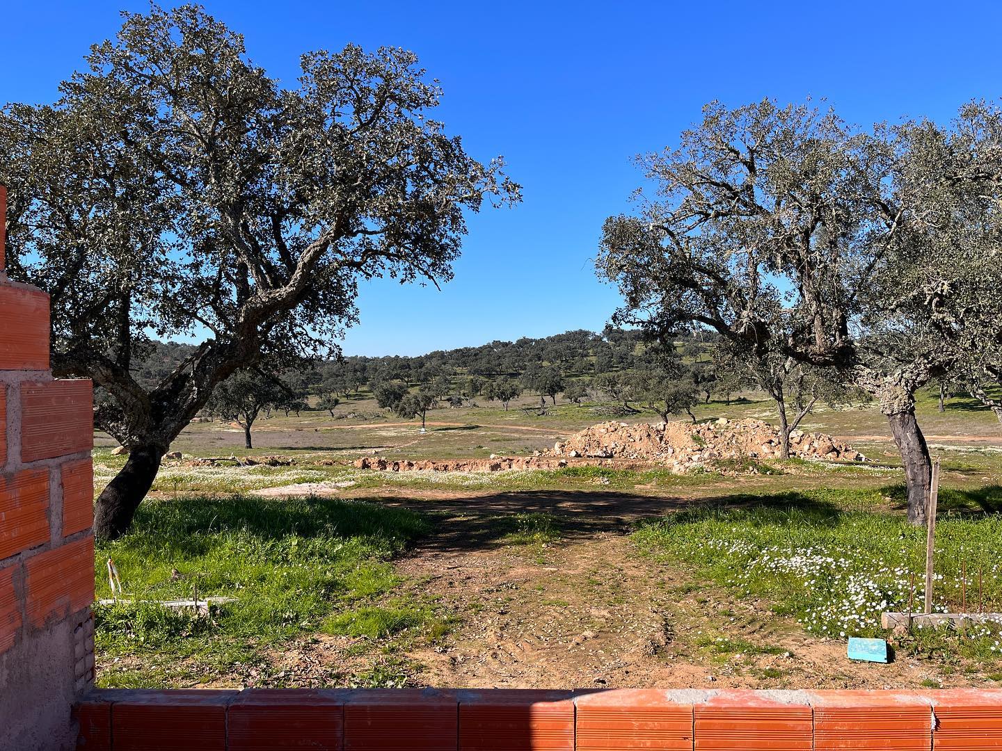 Esta foi a vista do nosso escritório, no dia de hoje 😊
#alentejo #paisagens #montado #arquiteturapaisagista #territorioperiferico