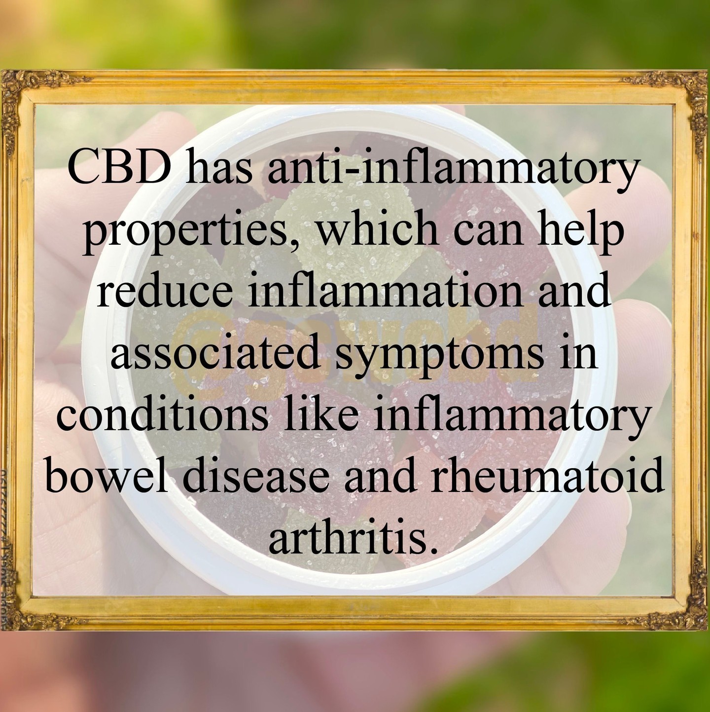 How much do you know about CBD? Checkout this fact!
#cbd #cbdfacts #fact #learn