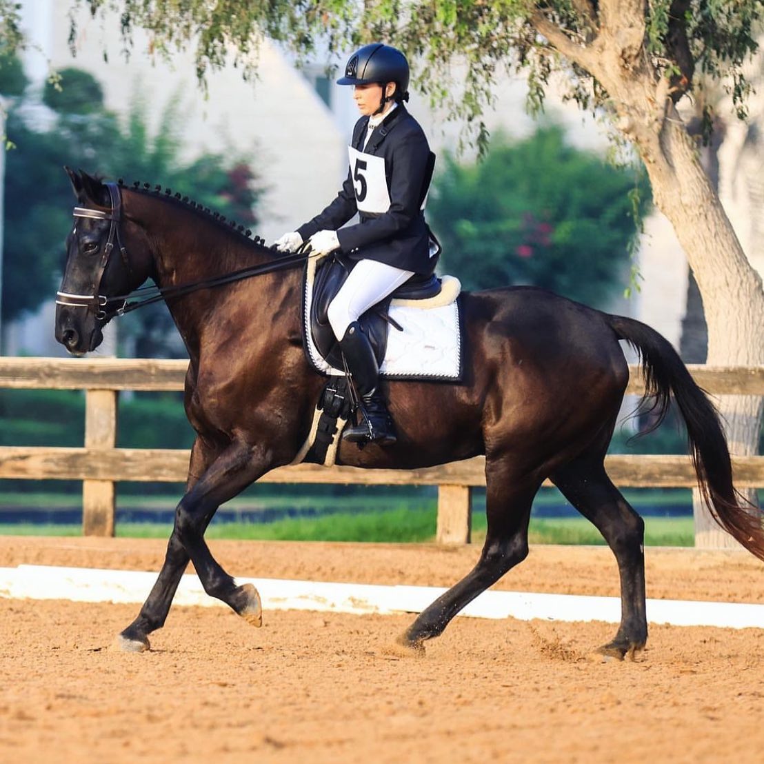 Sabrina and Jet looking fantastic during their recent event in the dressage phase. Thank you for sharing the picture @eventingdubai
#transcendbitlessbridle #doublebitlessbridle #simplesidecue #bitless #freedom #connection #superiorquality #englishleather #equine #horse #pony #bespoke #naturalhorsemanship #equestrian #baroque #horseaddict #equality #tack #biothane #photography #glowup #natural #horsesofinstagram #showjumping #dressage