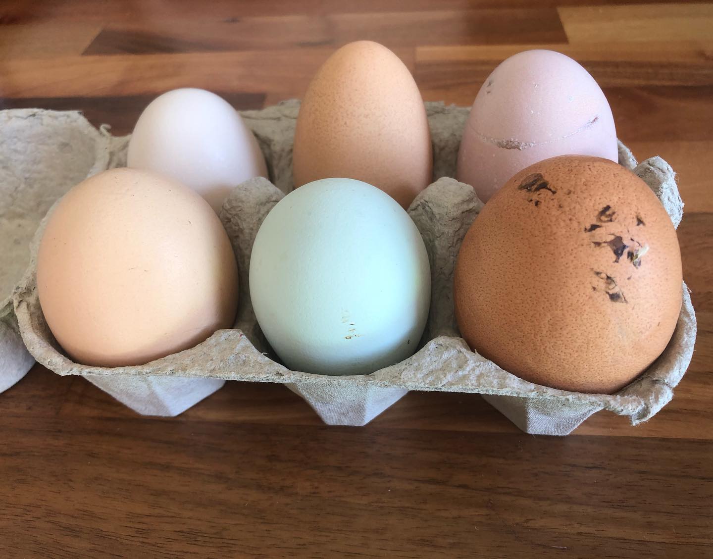 ‘Cracking’ eggs from @thehubbodiam 🥚 perfect for breakfast with our Colombian batch ☕️ Happy Sunday everyone. ☀️