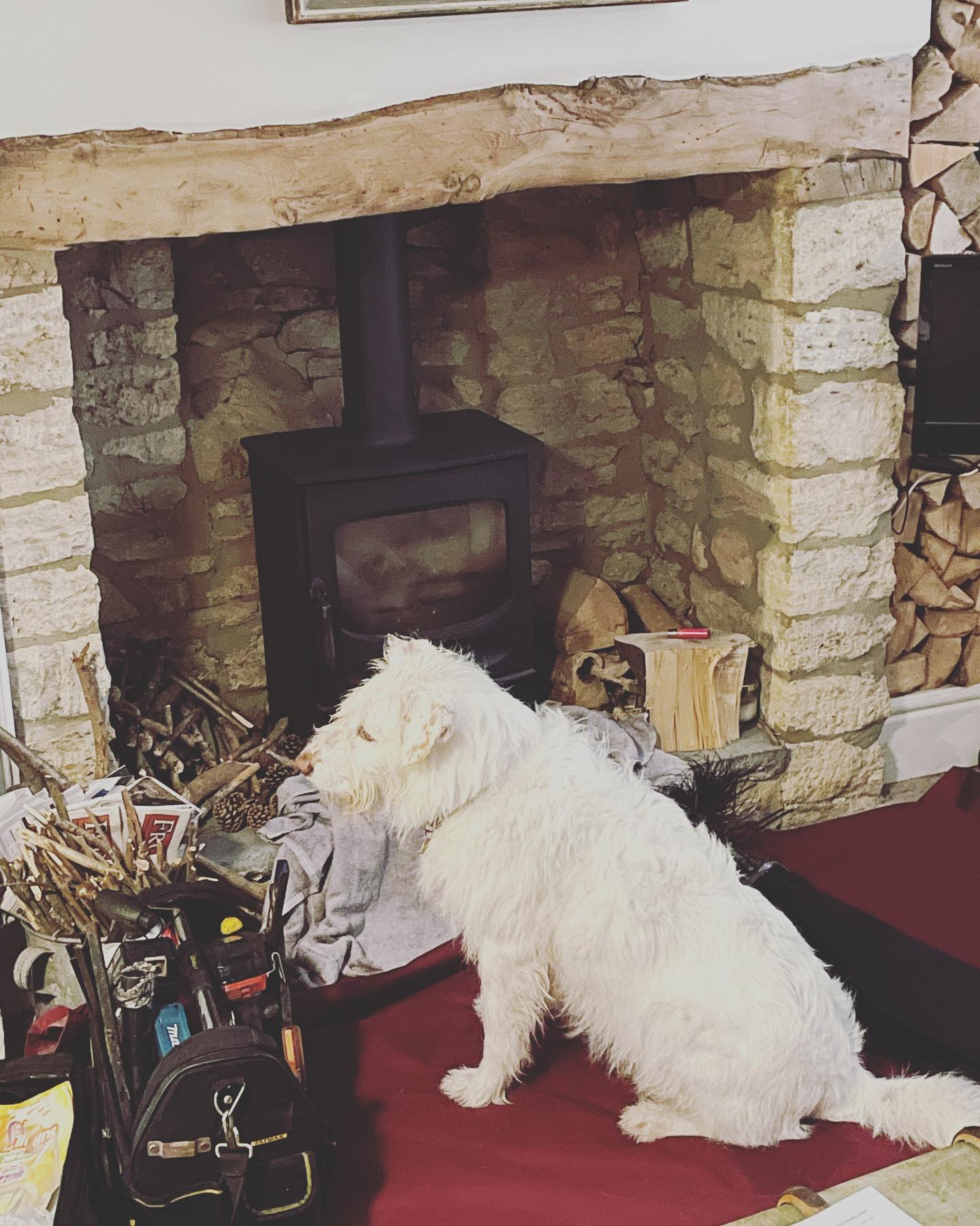 It appears I have a little help today!