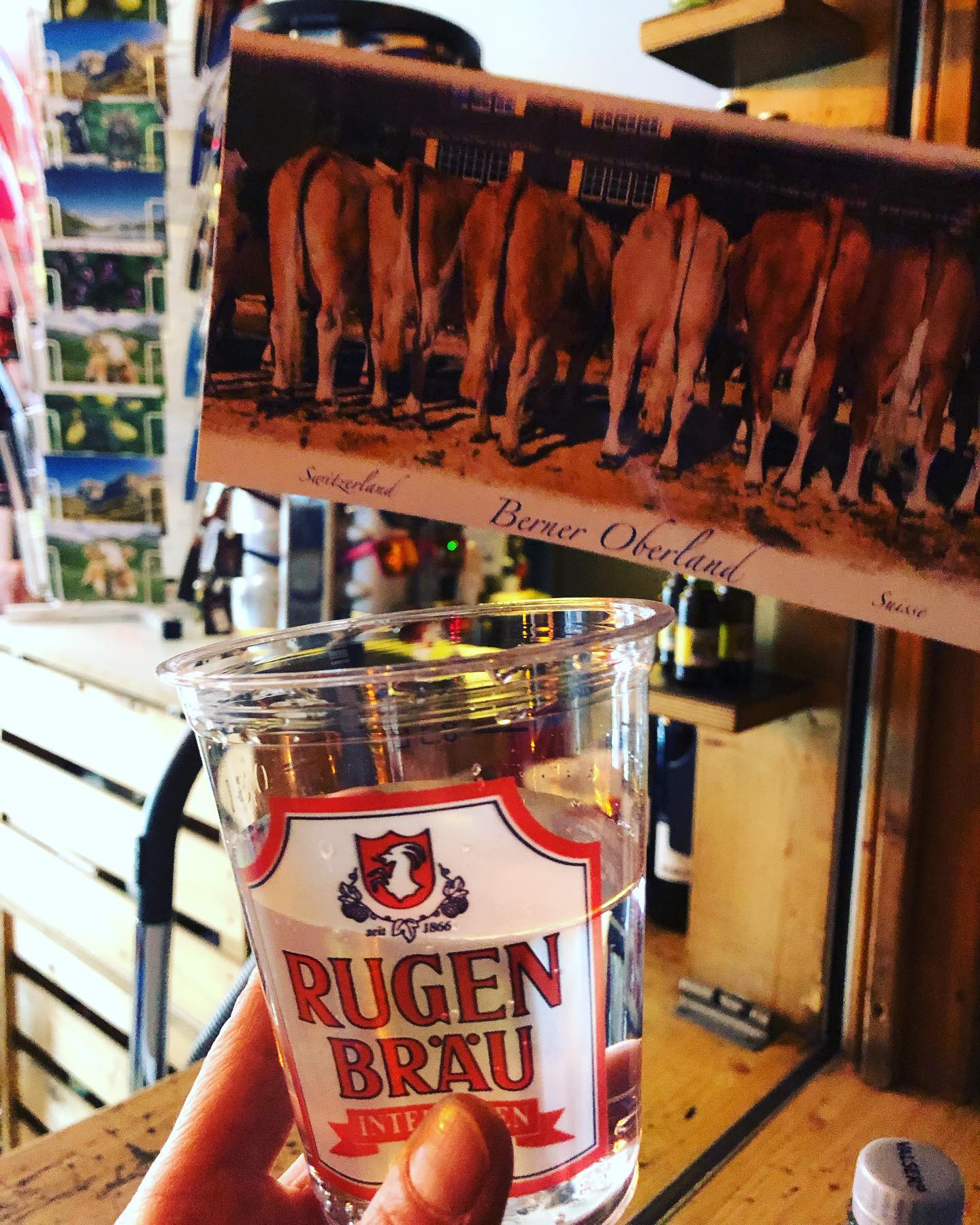 Gin Tonic Grindelstyle😁👍🏽Einlaufen für morgen! 15:30 auf’m Eiger+ Nordwandplatz, sozusagen Frühschoppen mit dem Quartett Delilahs aus dem Zuger-, Berner- und Tessinertal. Geil👍🏽⛷
#eigernordwand #gintonic #swissish #urchig #chunntguet