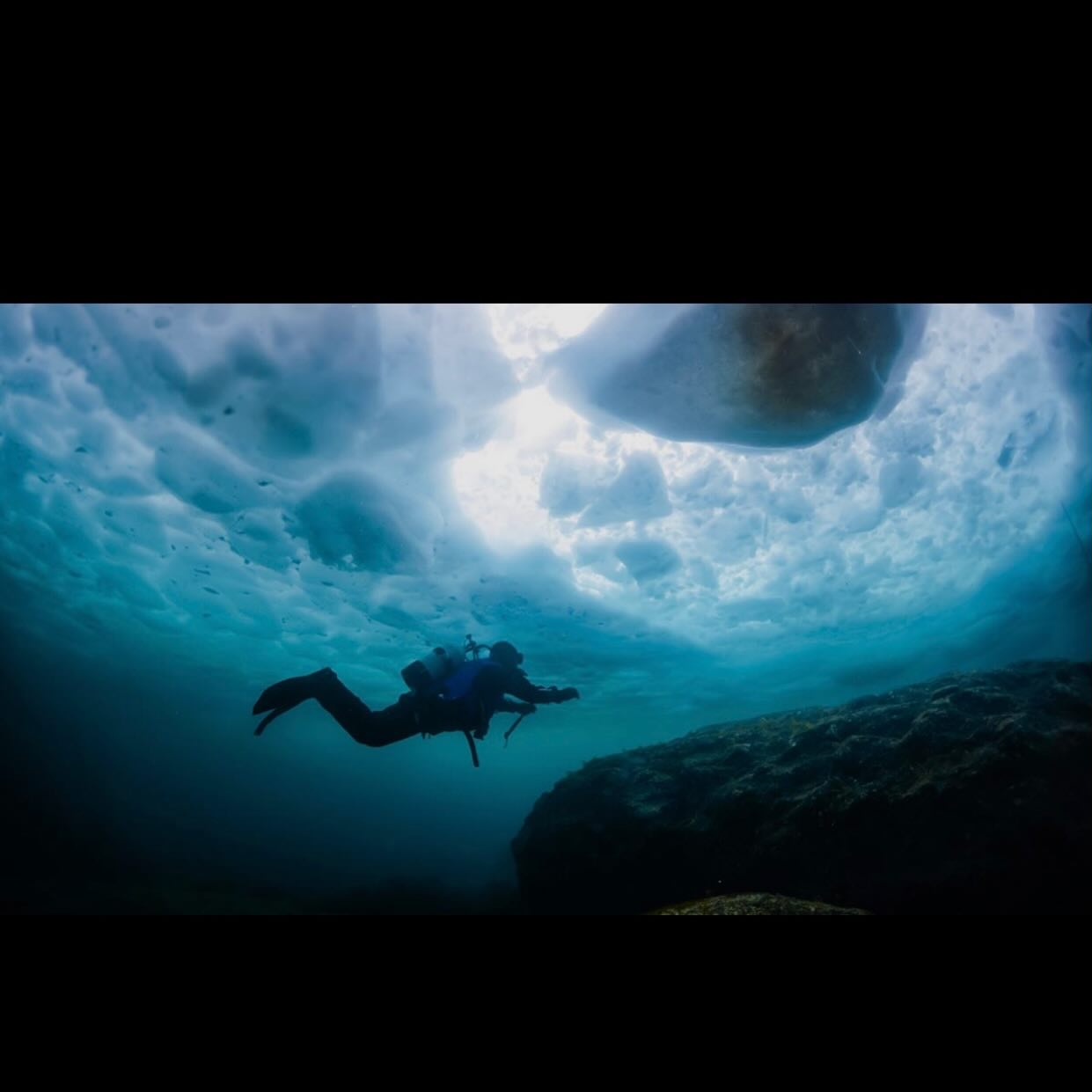 Any one up for an ice dive in south Florida??? @jsamuel215 #icedive #veteran #scuba #chillwilly #shrinkage