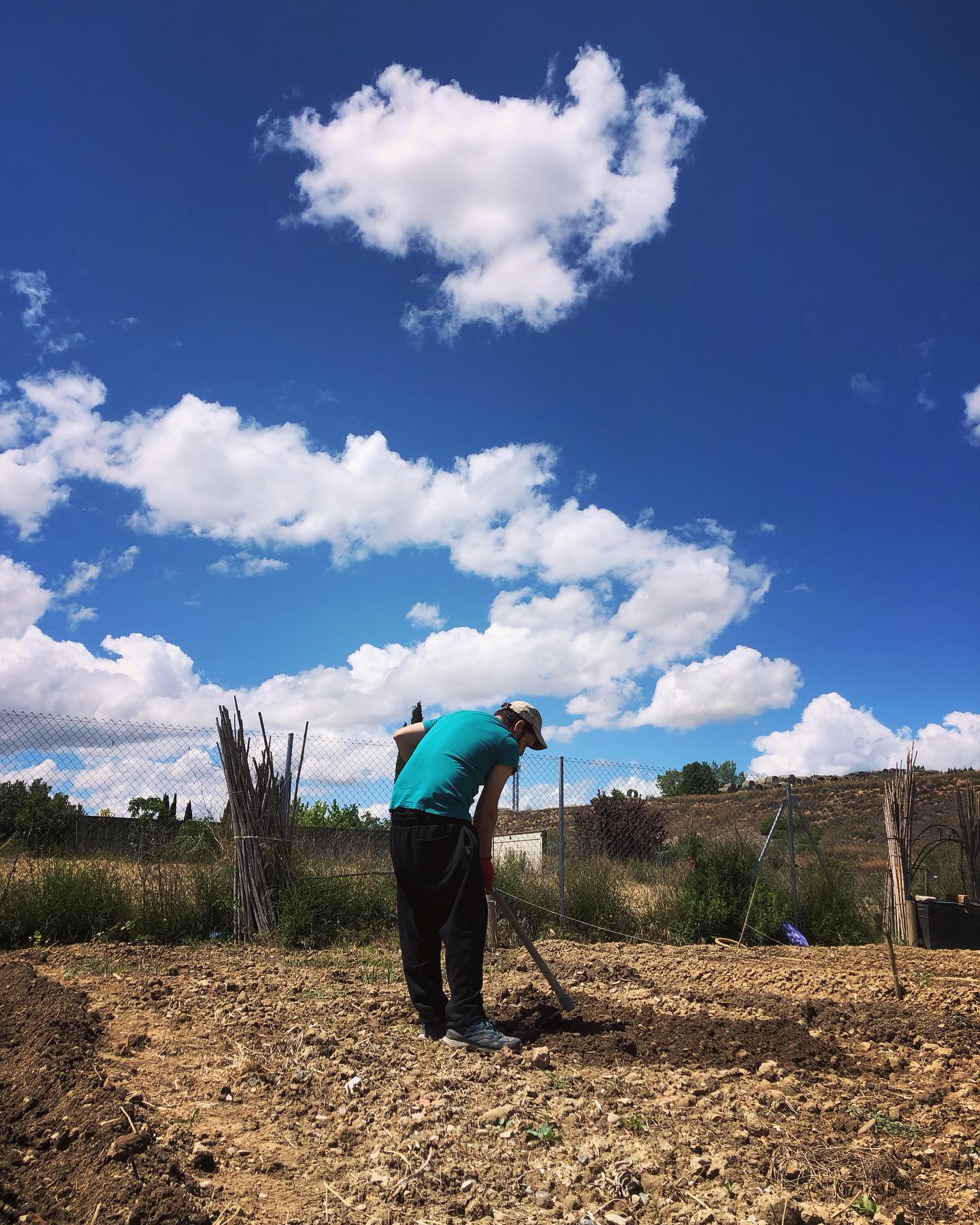 Feliz San Isidro a todas y todos los madrileños!!! 🥬🥕🫑 nosotros lo hemos festejado labrando la huerta, pero l@s que podáis es mejor que os partáis el lumbago de tanto bailar!!!
.
.
.
#sanisidro #saniaidrolabrador #pichi #chulapo #chulapa #hortelano #huerto #huertos #huerta #dentrodellapicero