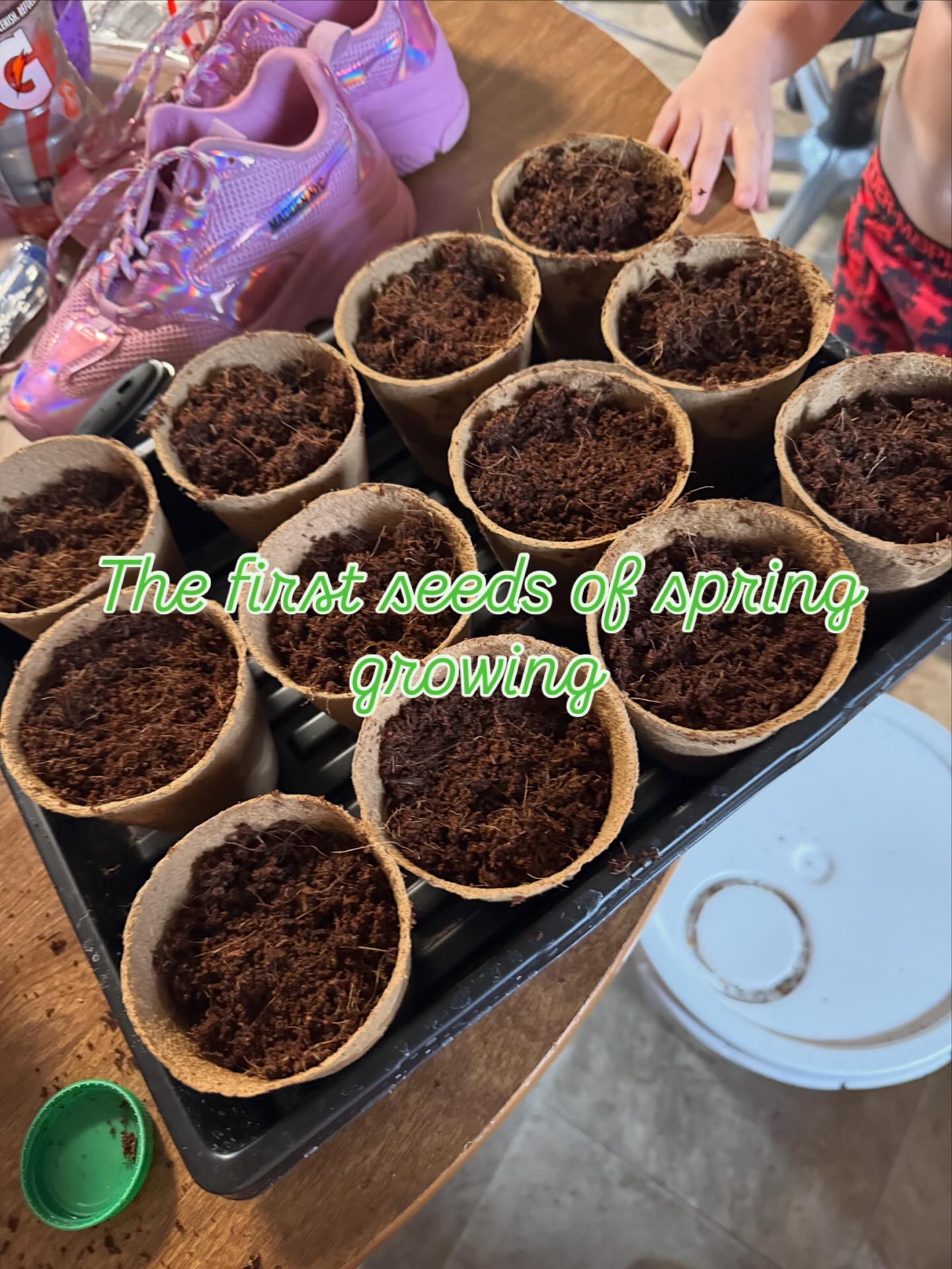 Seed starting has well started.