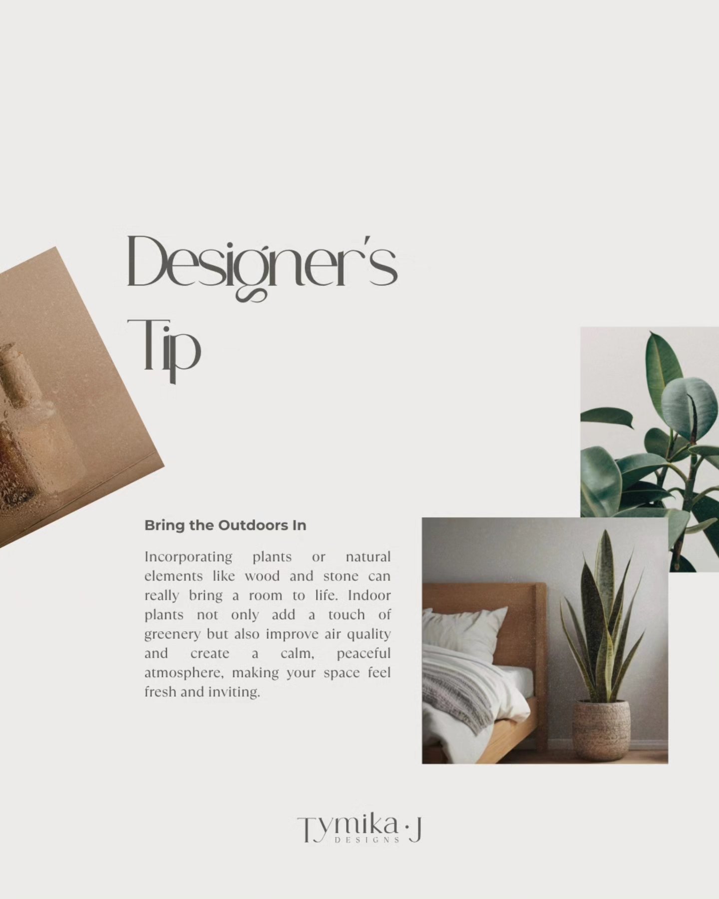 Designers Tip!
For the best air purifier, you can't beat the snake plant, or it's scientific name Dracaena Trifasciata.